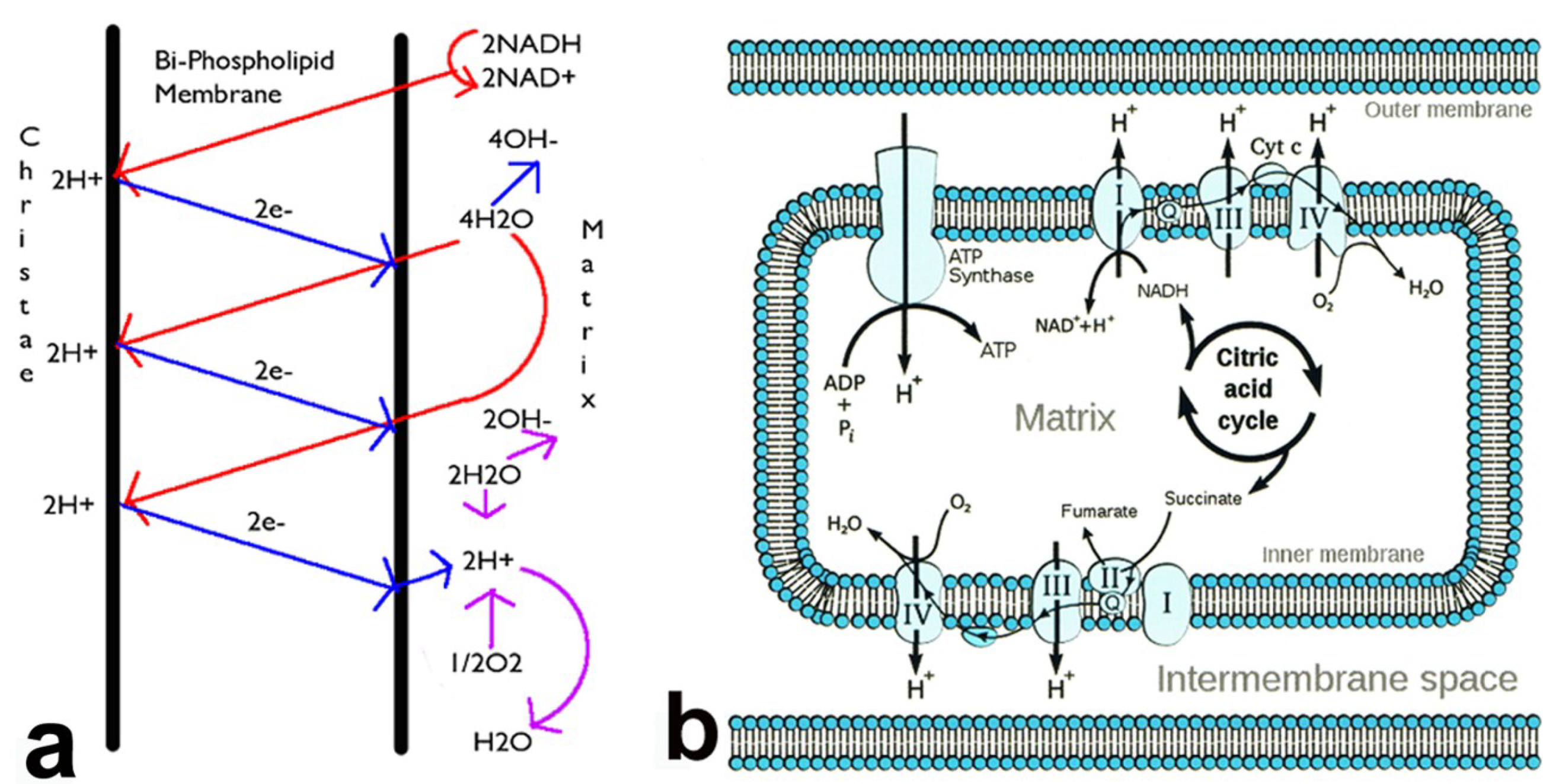 Metals 04 00549 g001 1024