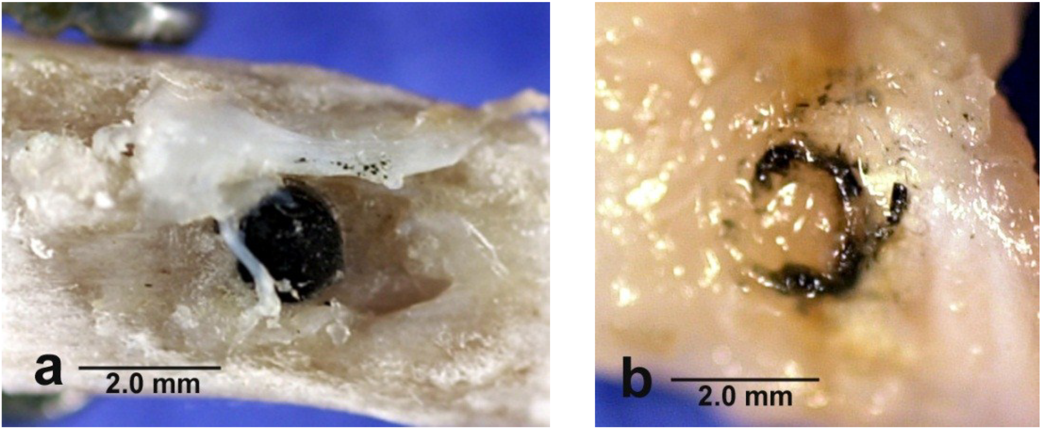 Metals 04 00549 g009 1024