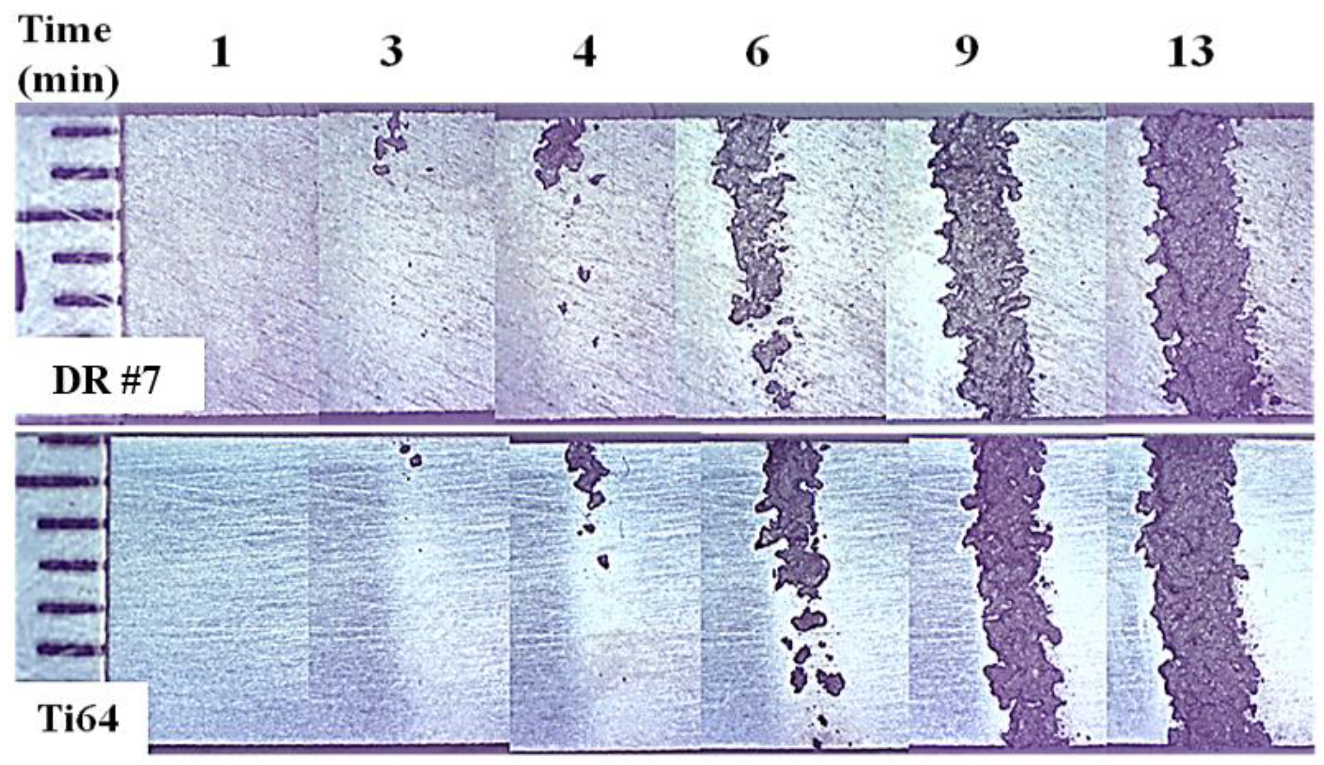 Metals 05 01462 g012