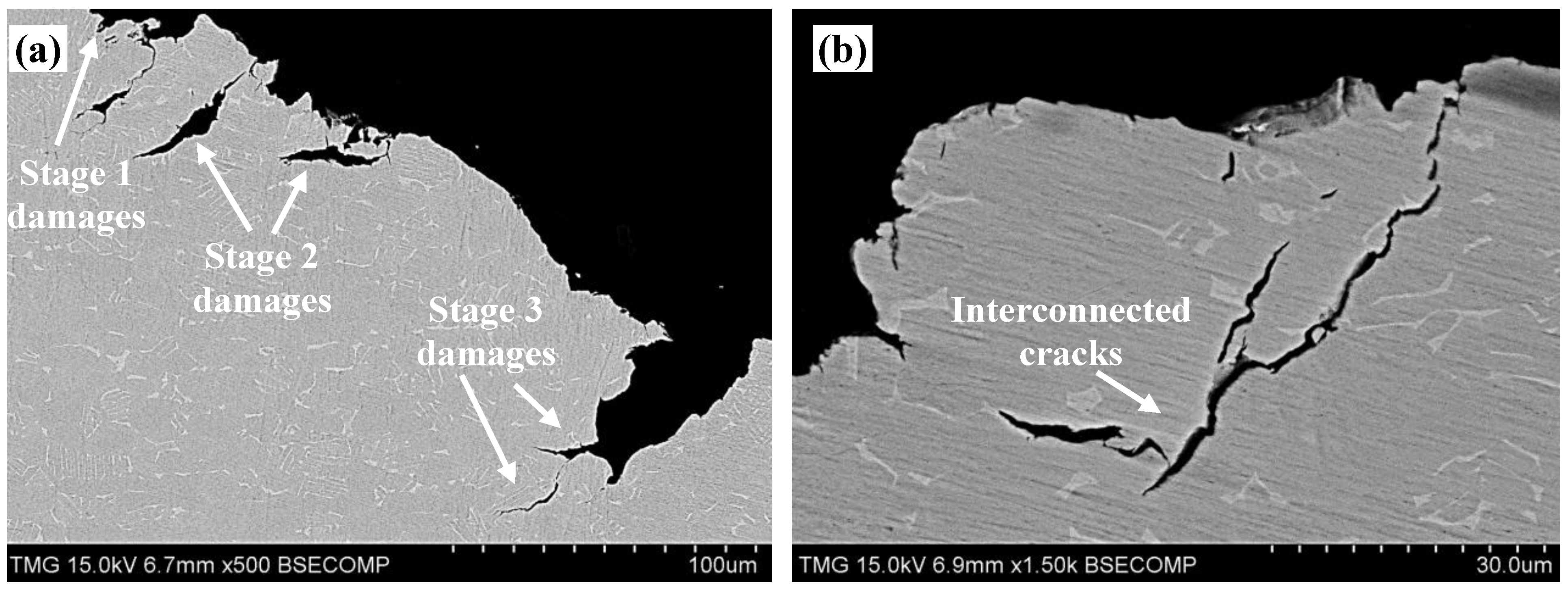 Metals 05 01462 g019