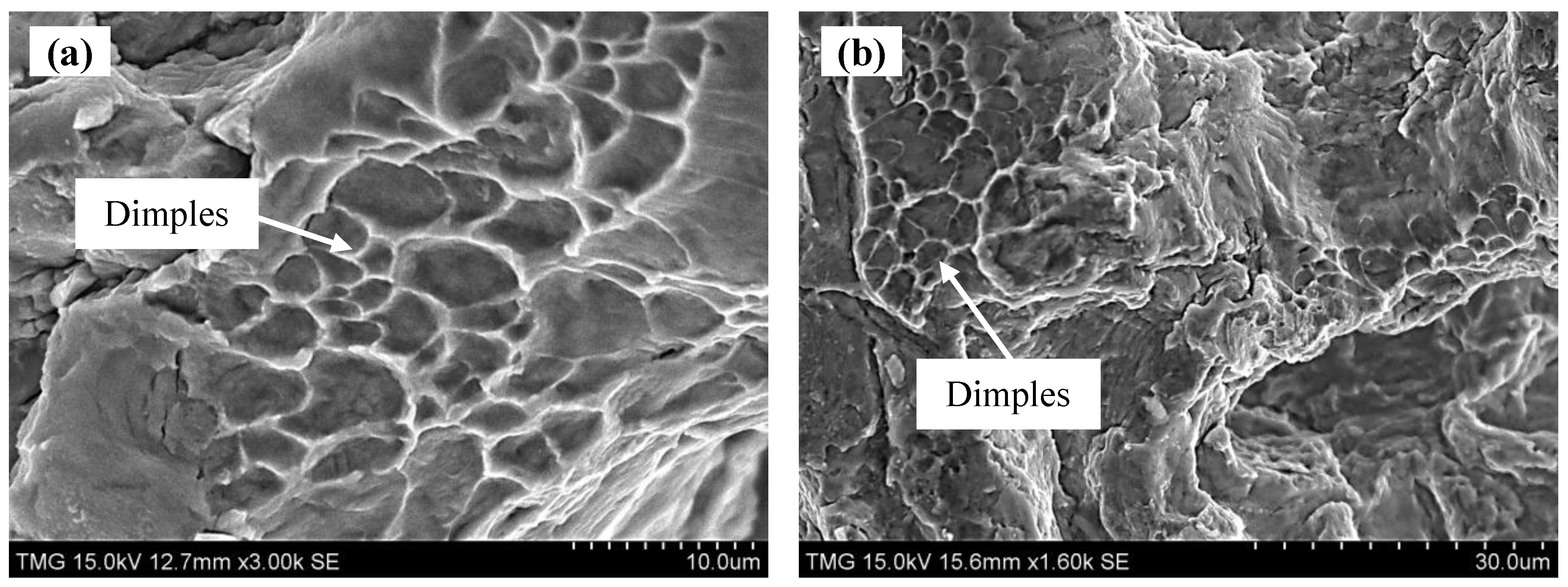 Metals 05 01462 g027