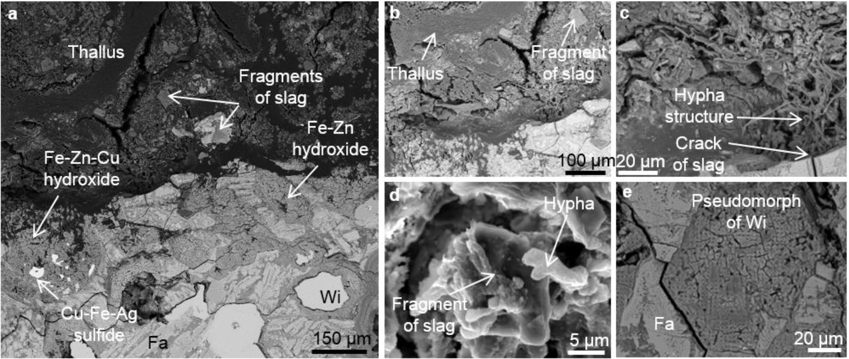 Metals 05 01591 g002