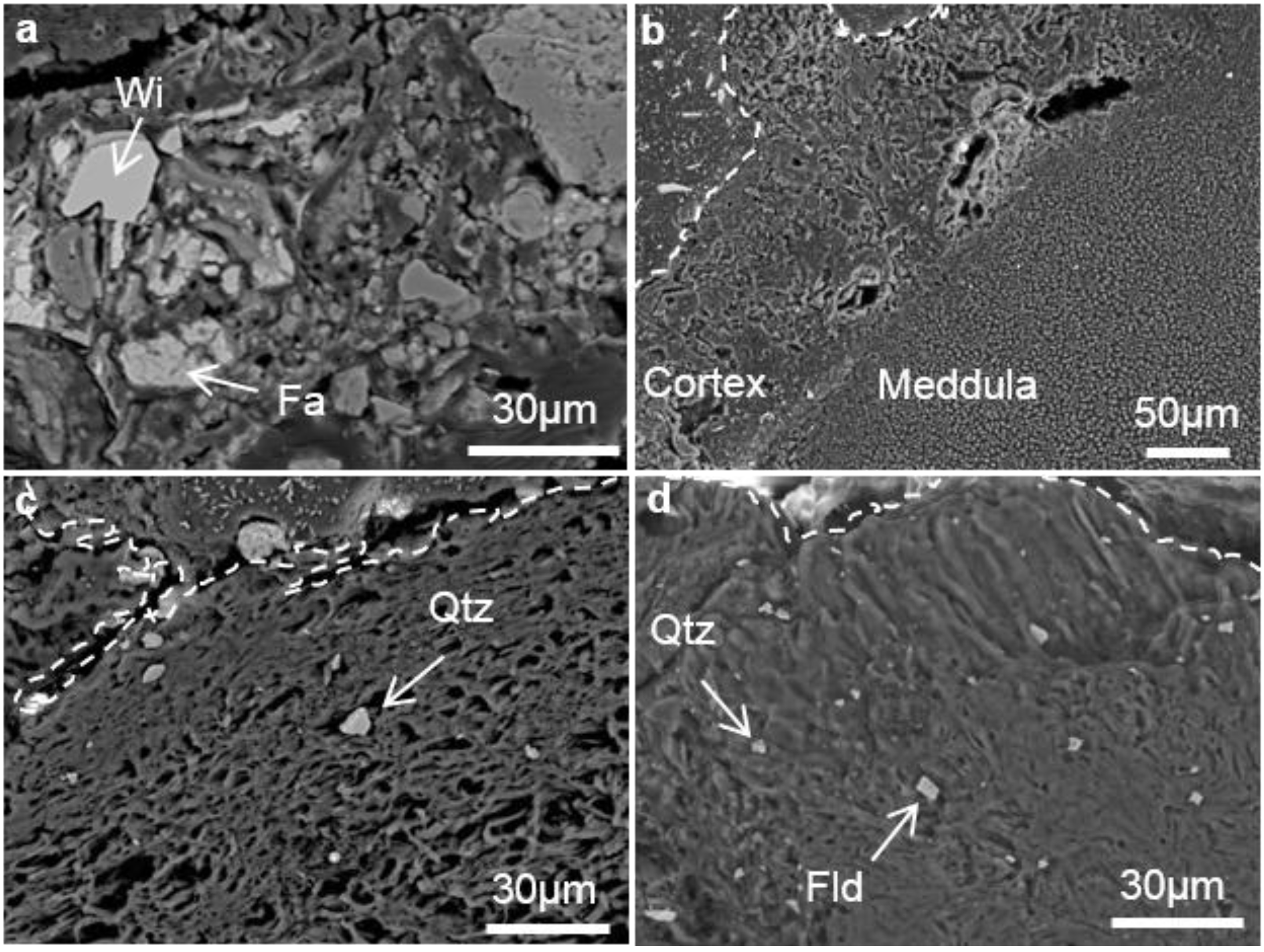 Metals 05 01591 g003