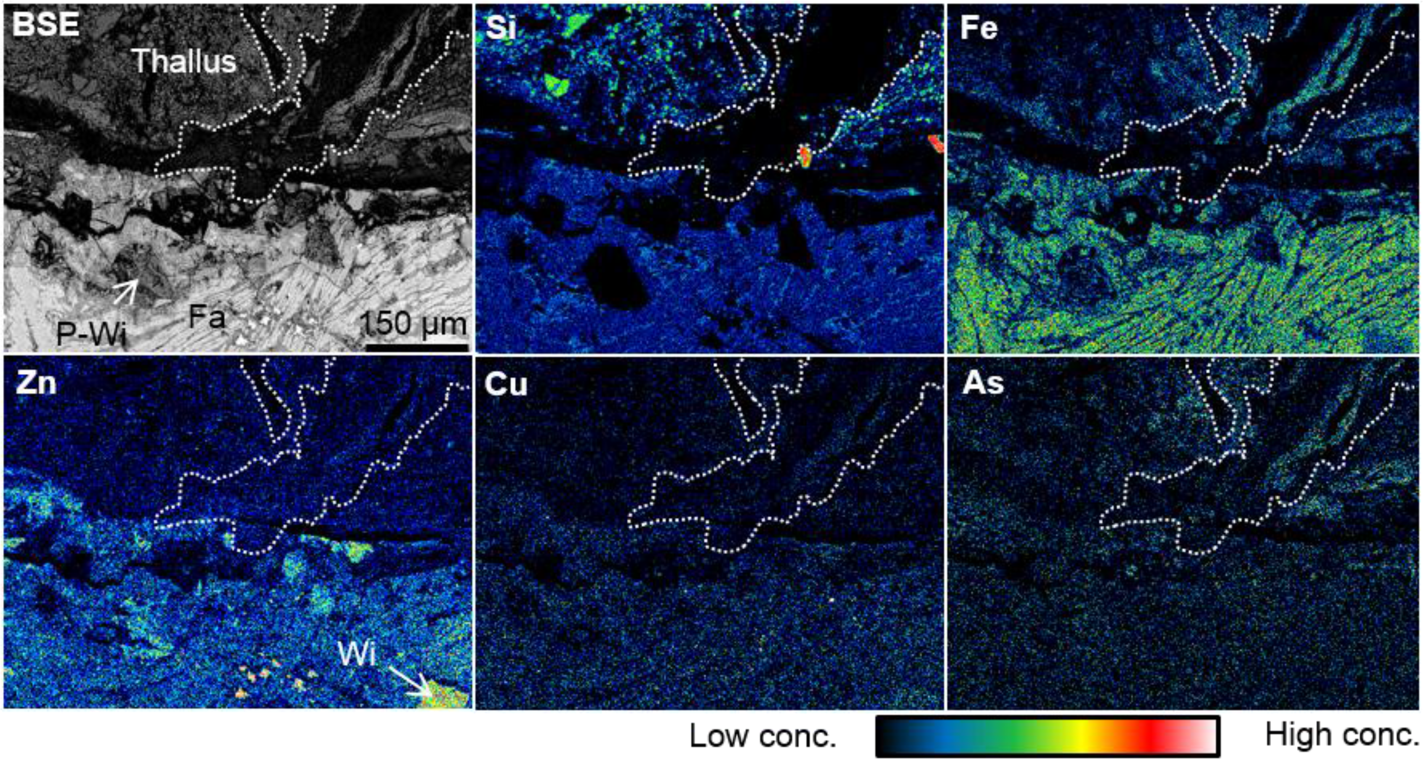 Metals 05 01591 g005