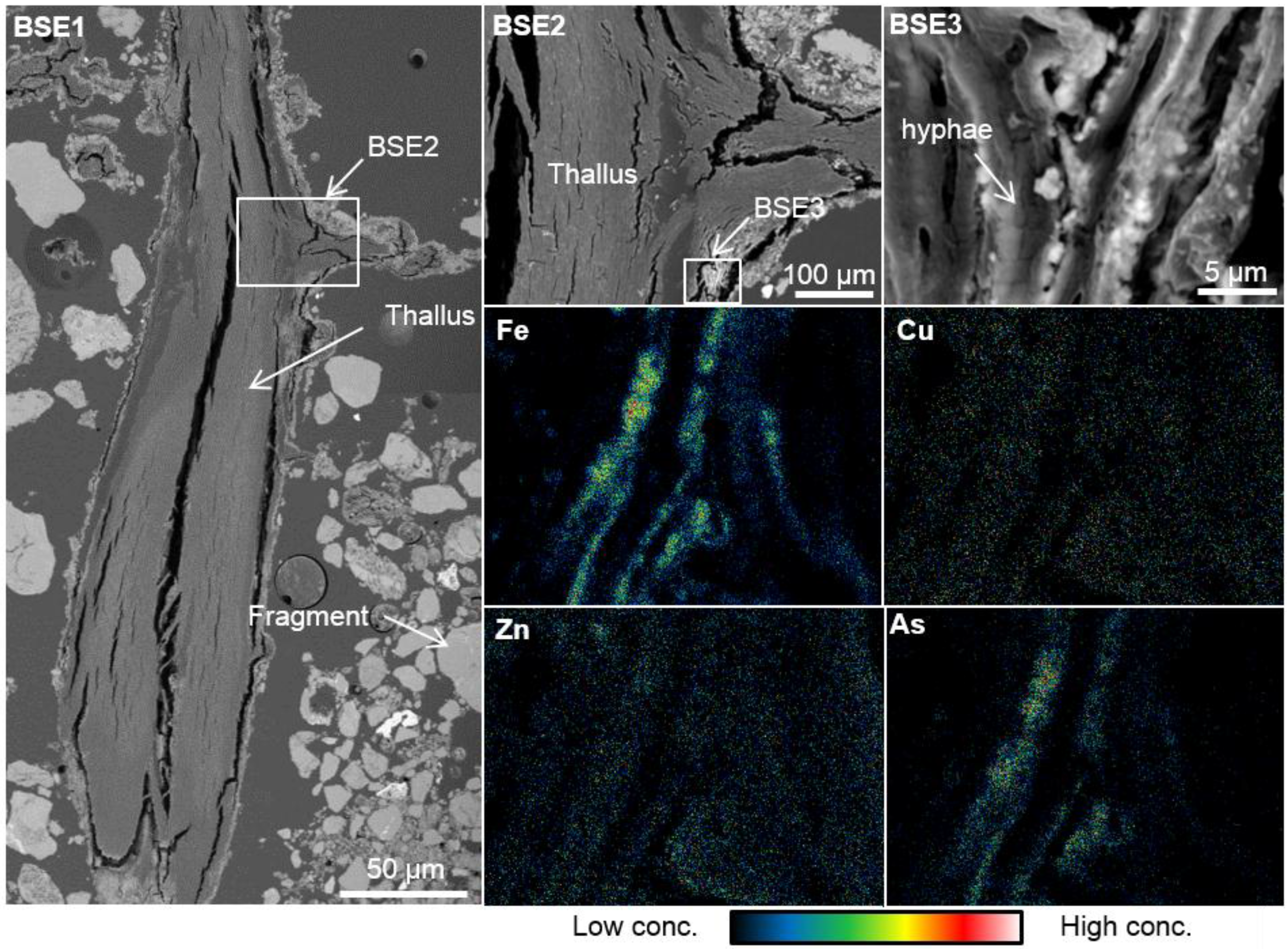 Metals 05 01591 g006