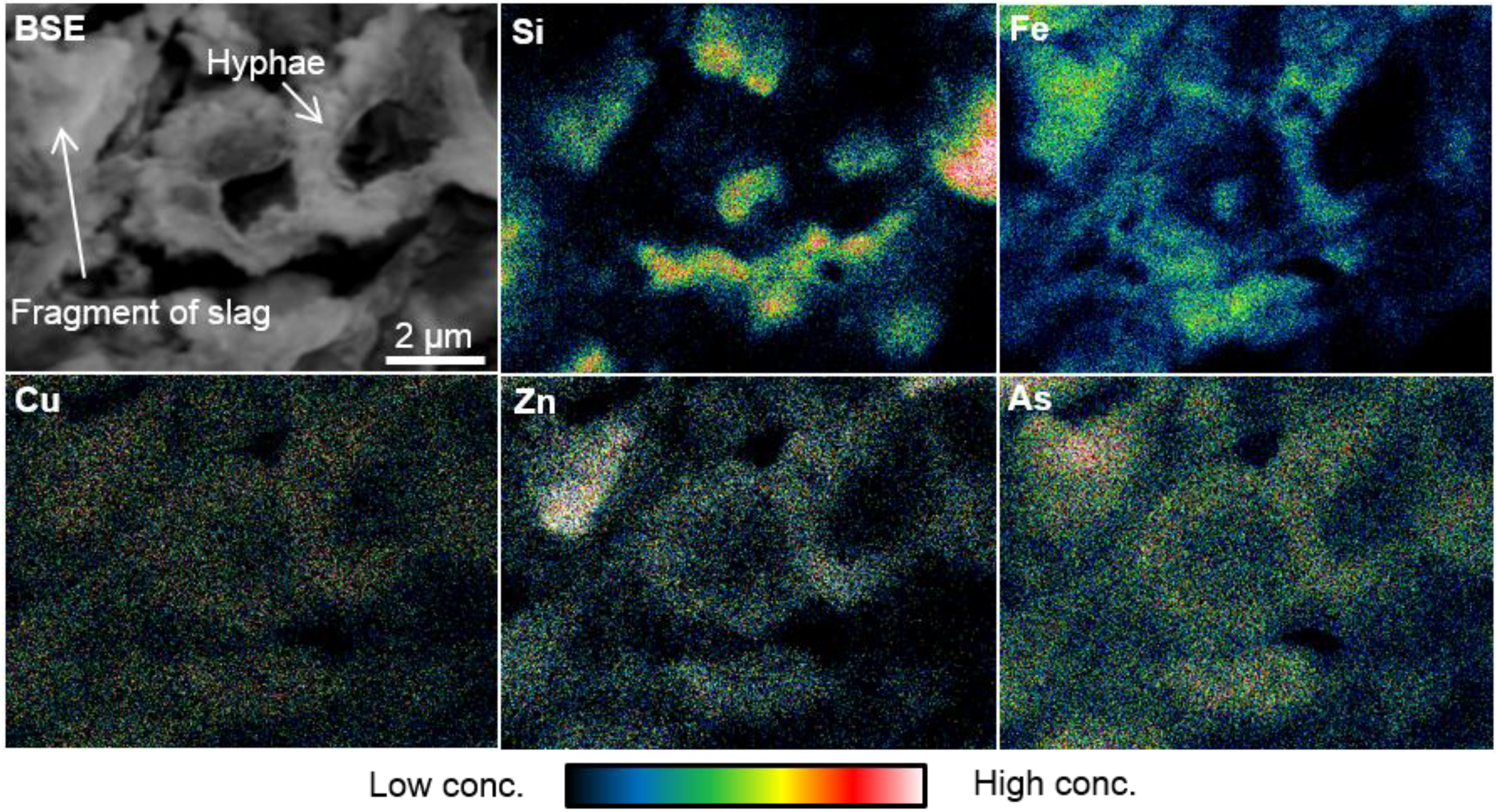 Metals 05 01591 g007