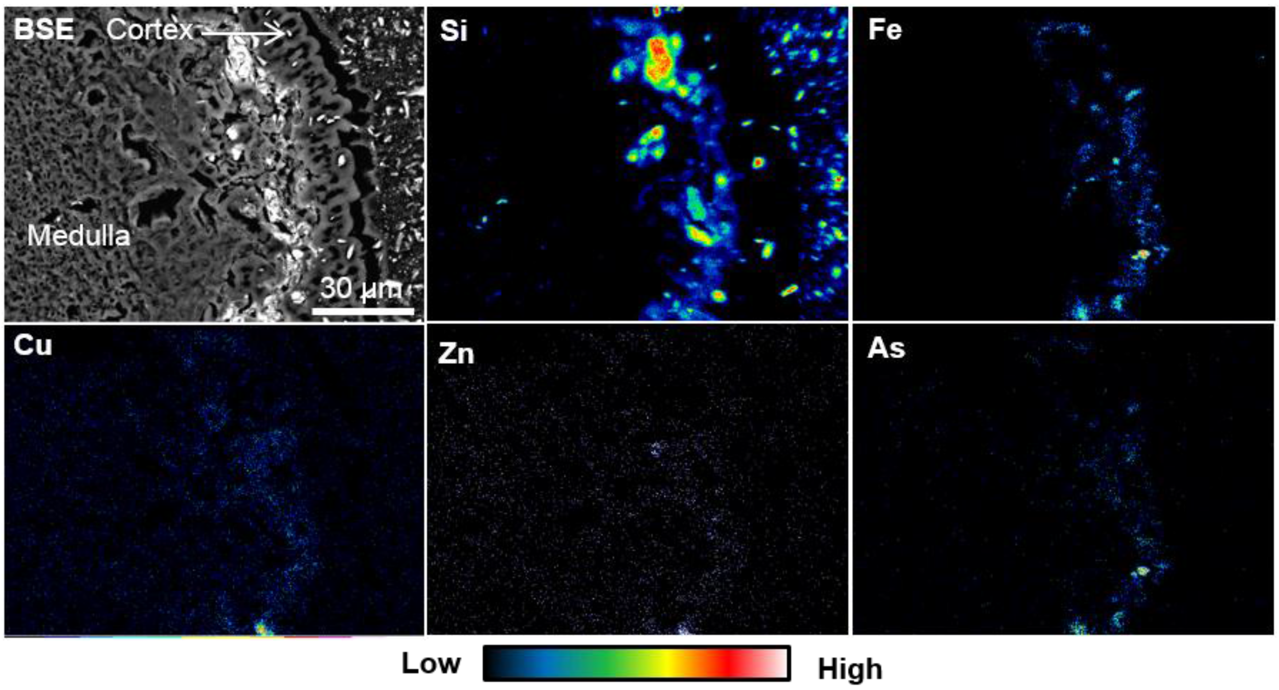 Metals 05 01591 g008