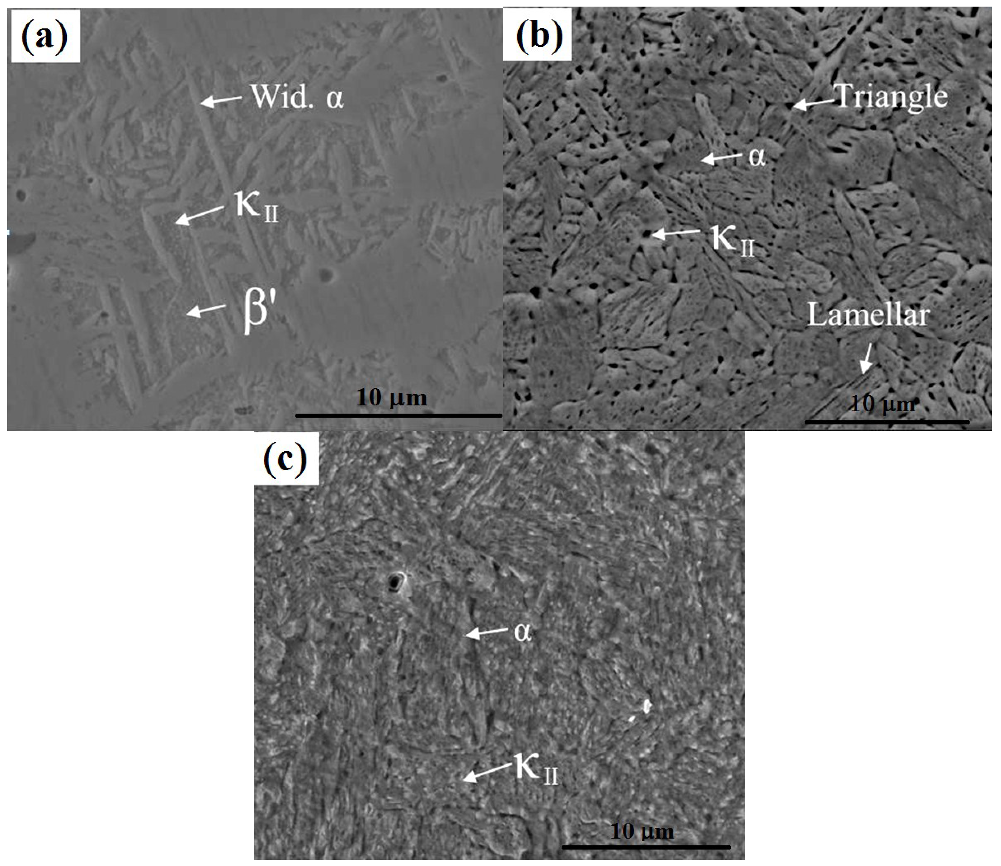 Metals 05 01695 g003