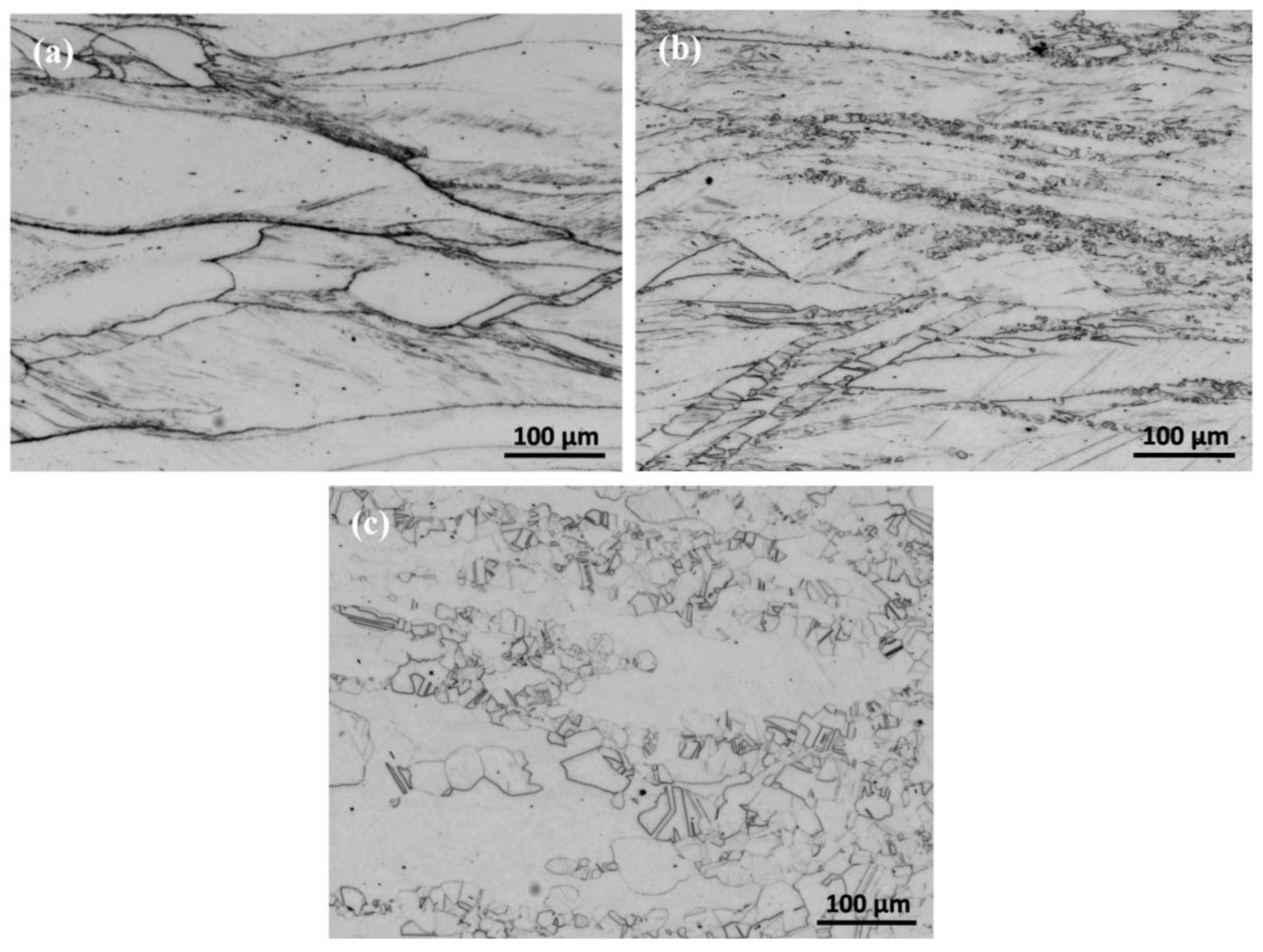 Metals 05 01717 g007 1024