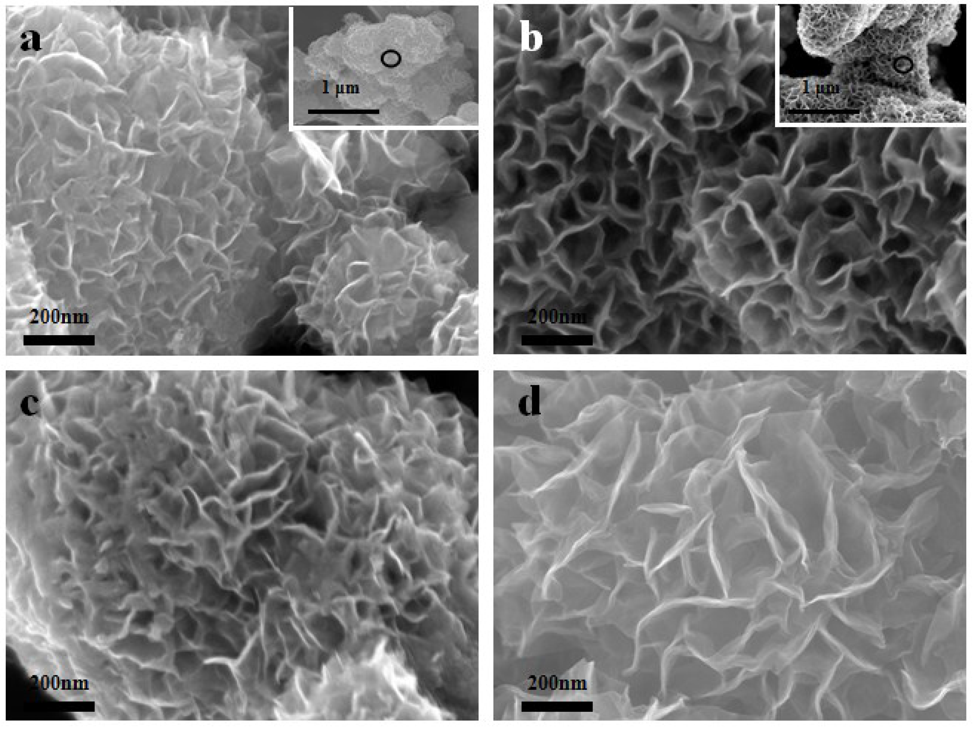 Metals 05 01829 g004 1024