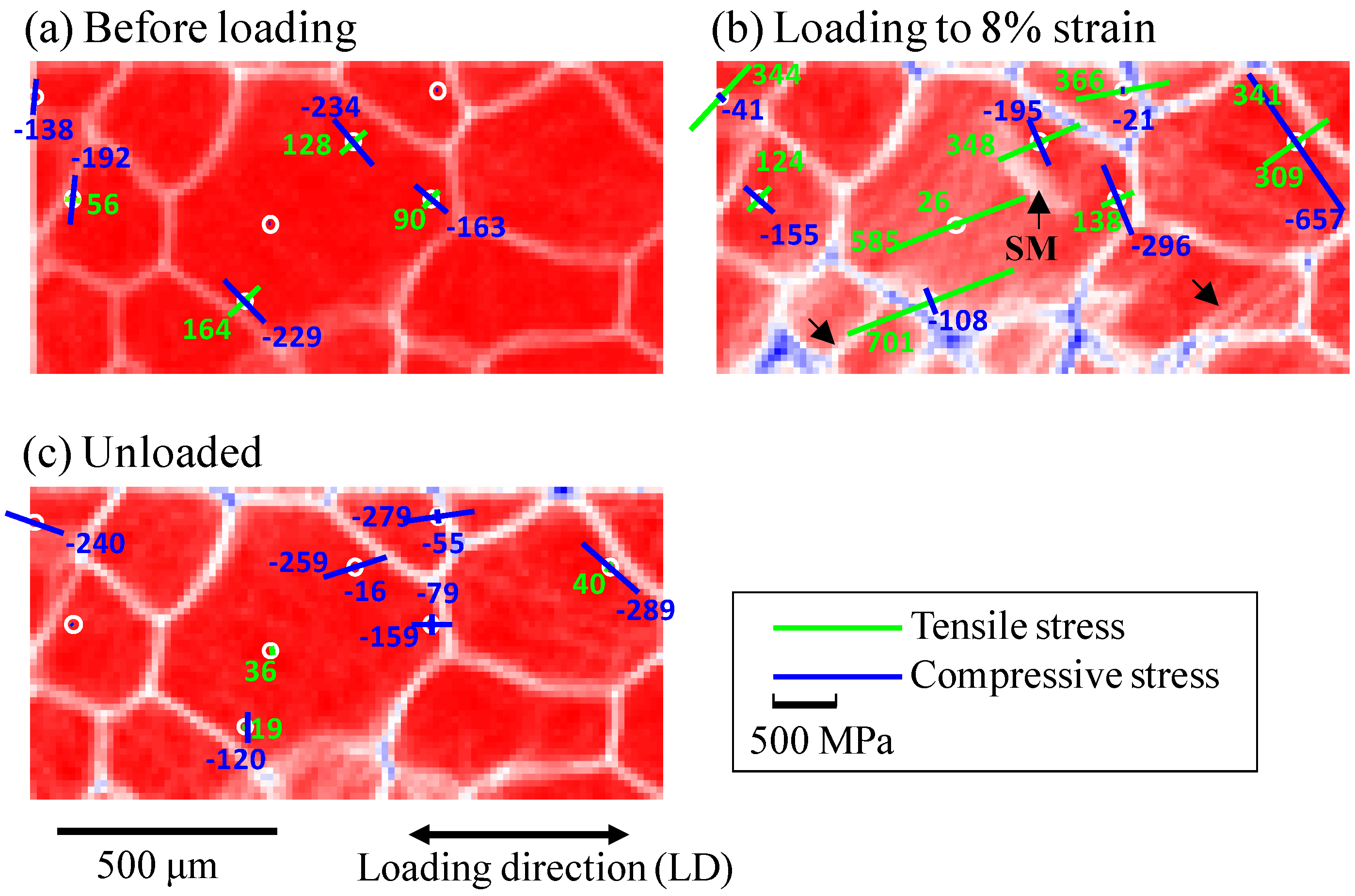 Metals 05 01845 g008