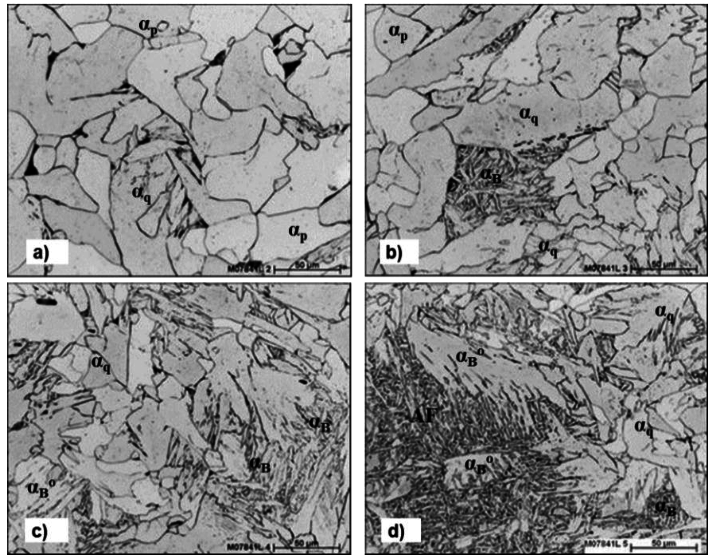 Metals 05 01857 g005