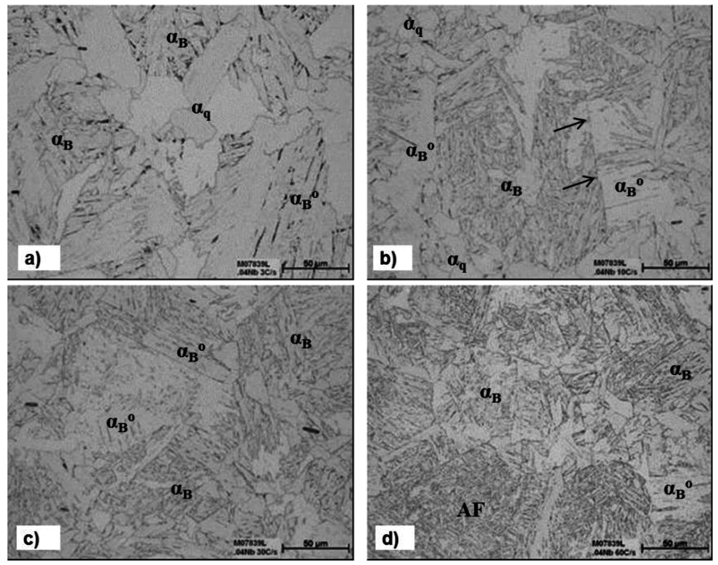 Metals 05 01857 g008