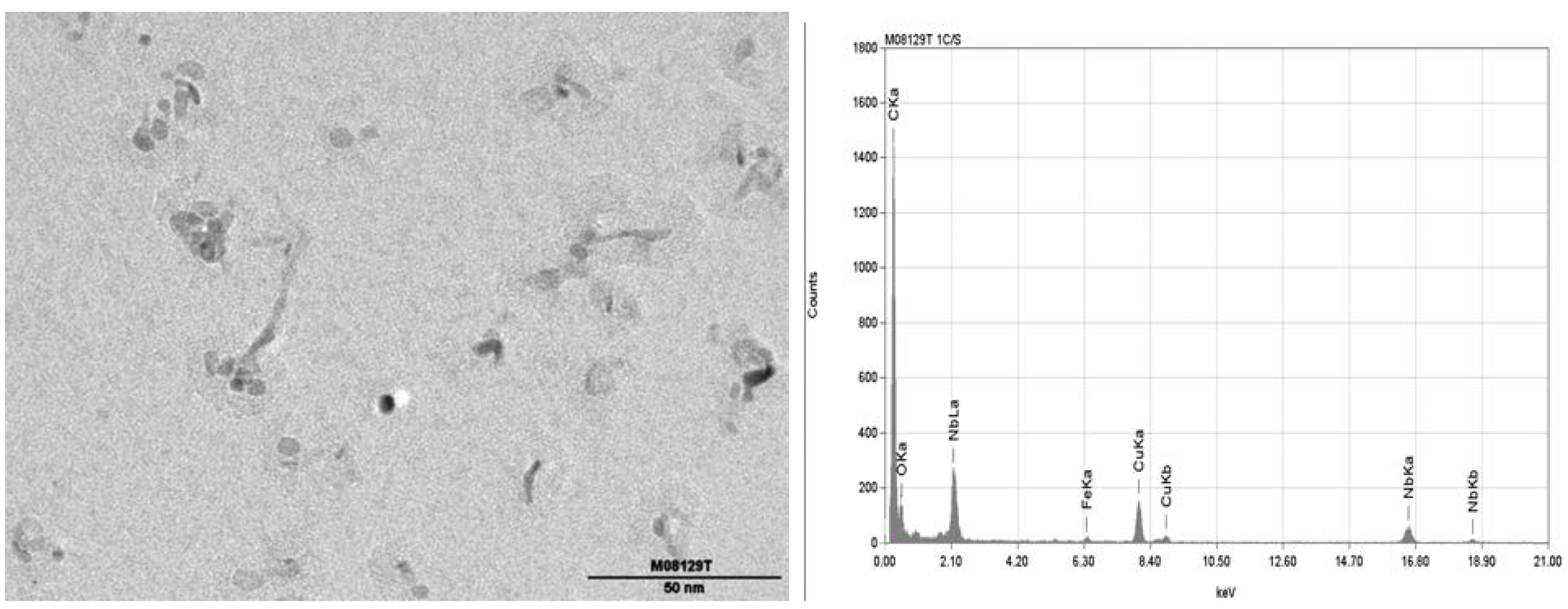 Metals 05 01857 g014