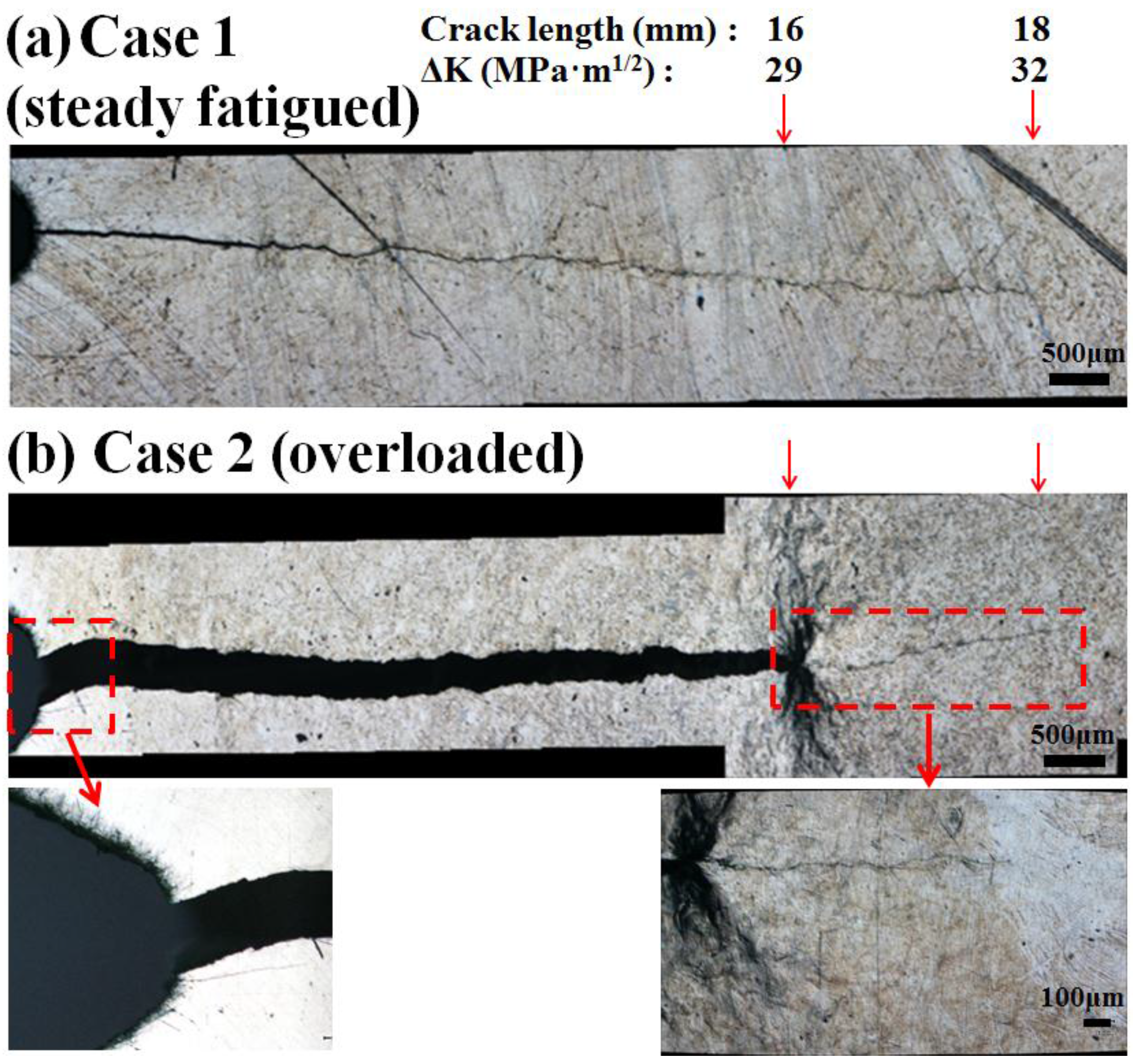 Metals 05 02109 g004 1024
