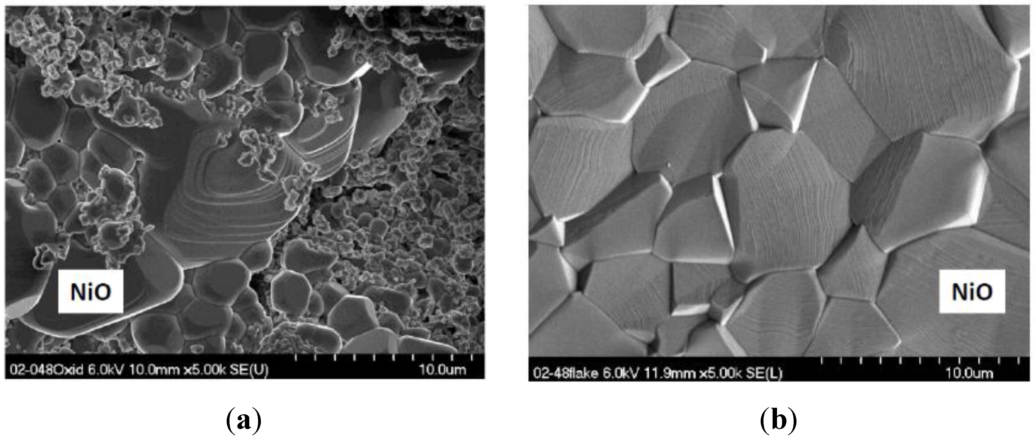 Metals 05 02165 g005