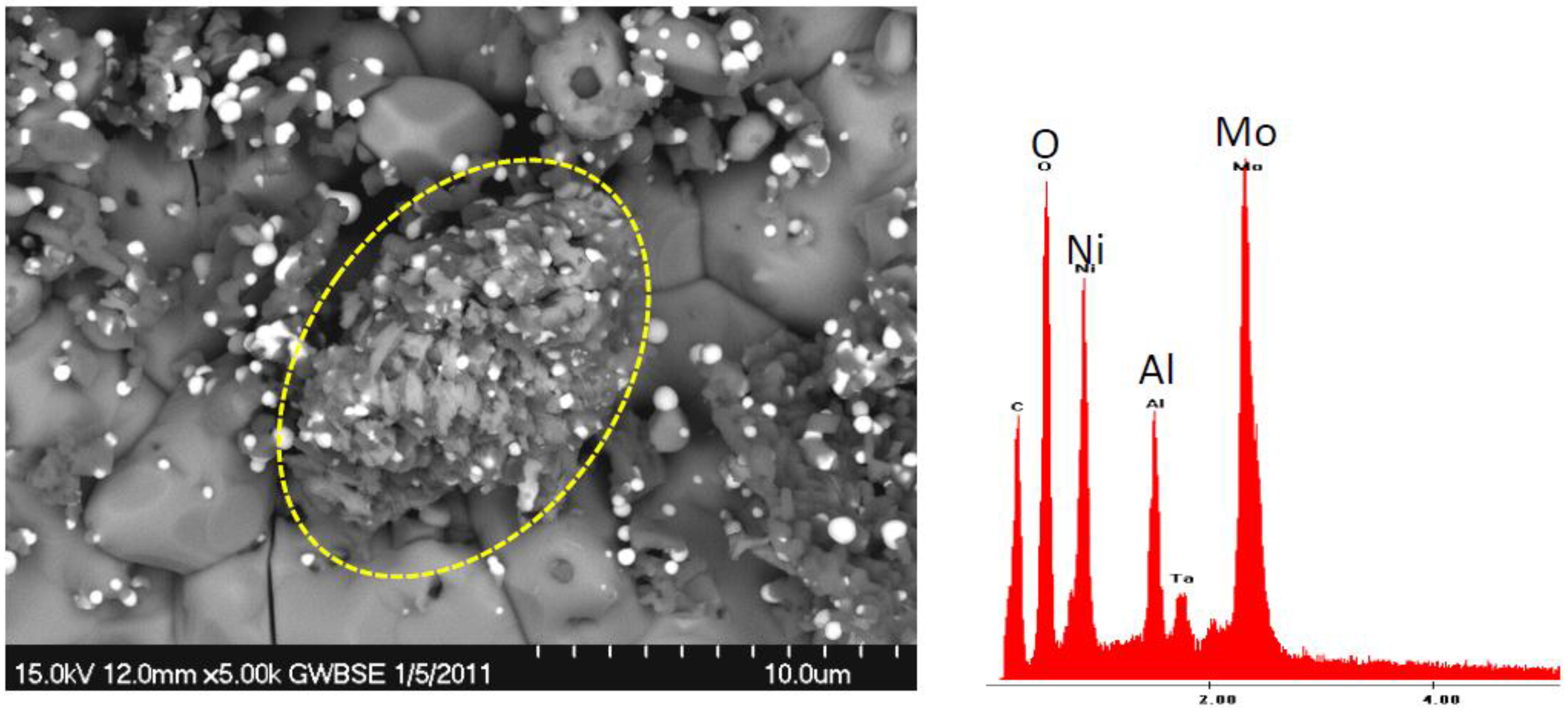 Metals 05 02165 g013