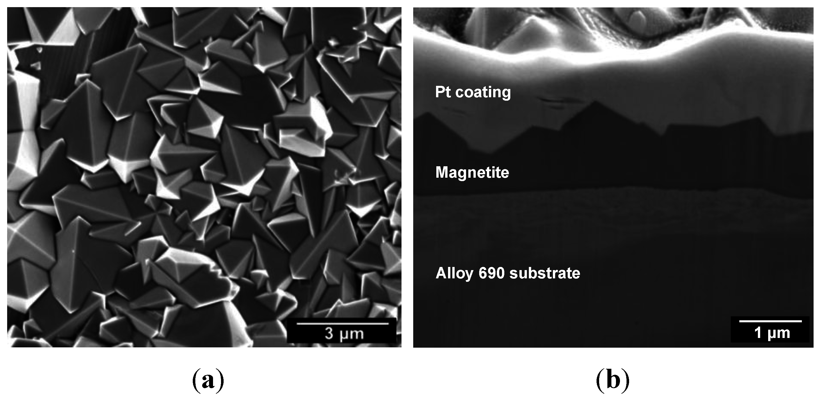 Metals 05 02372 g002