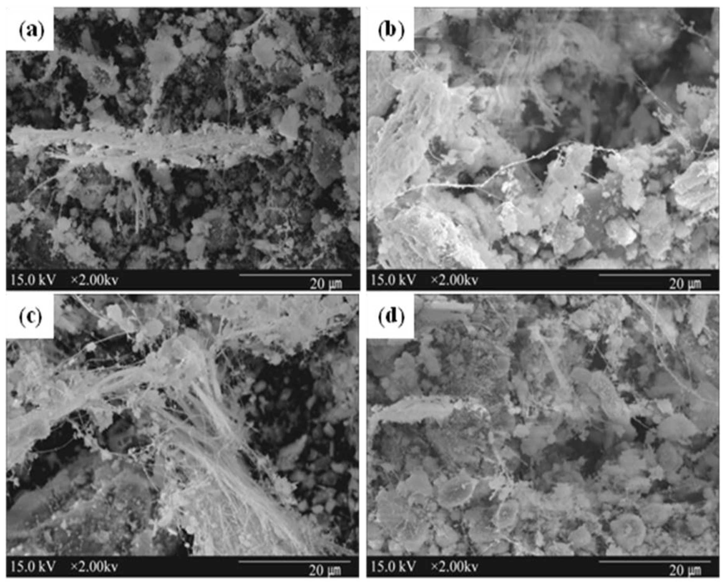 Metals 05 02413 g010 1024