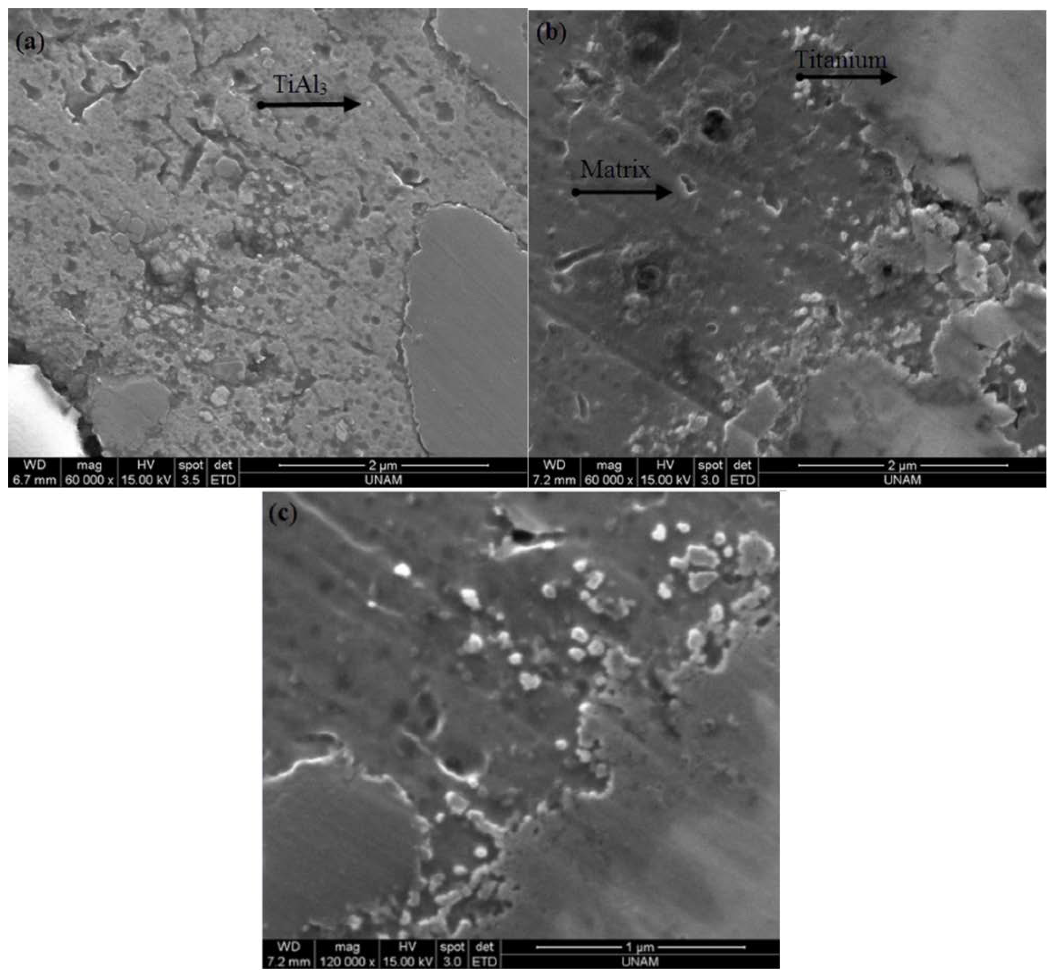 Metals 06 00034 g001