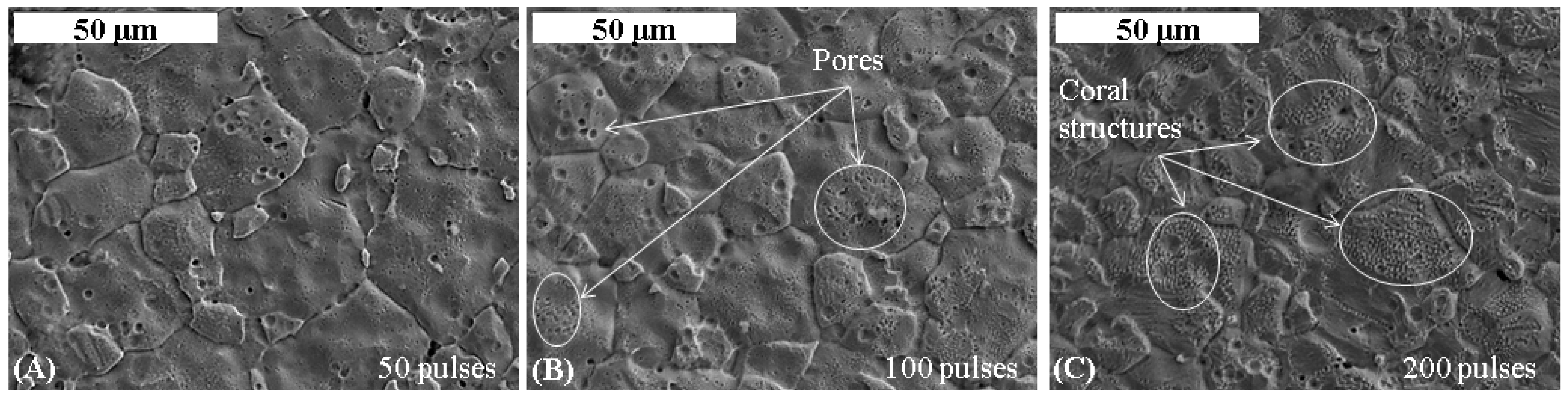 Metals 06 00041 g006 1024