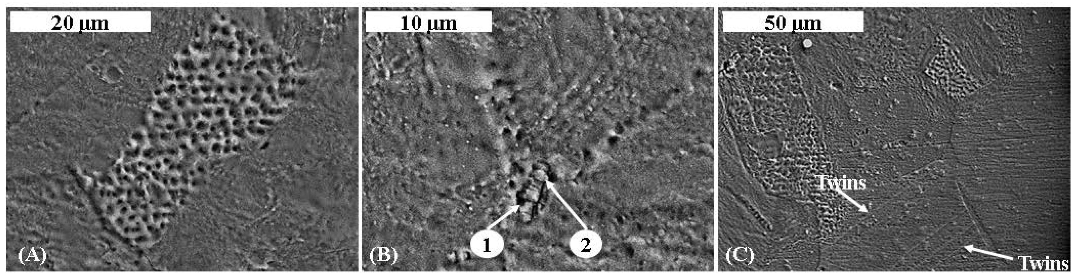 Metals 06 00041 g007 1024