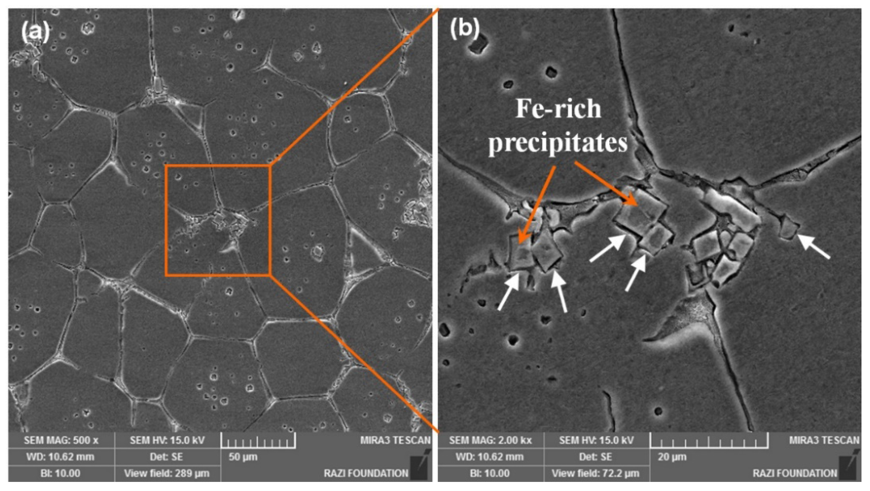 Metals 06 00042 g014 1024