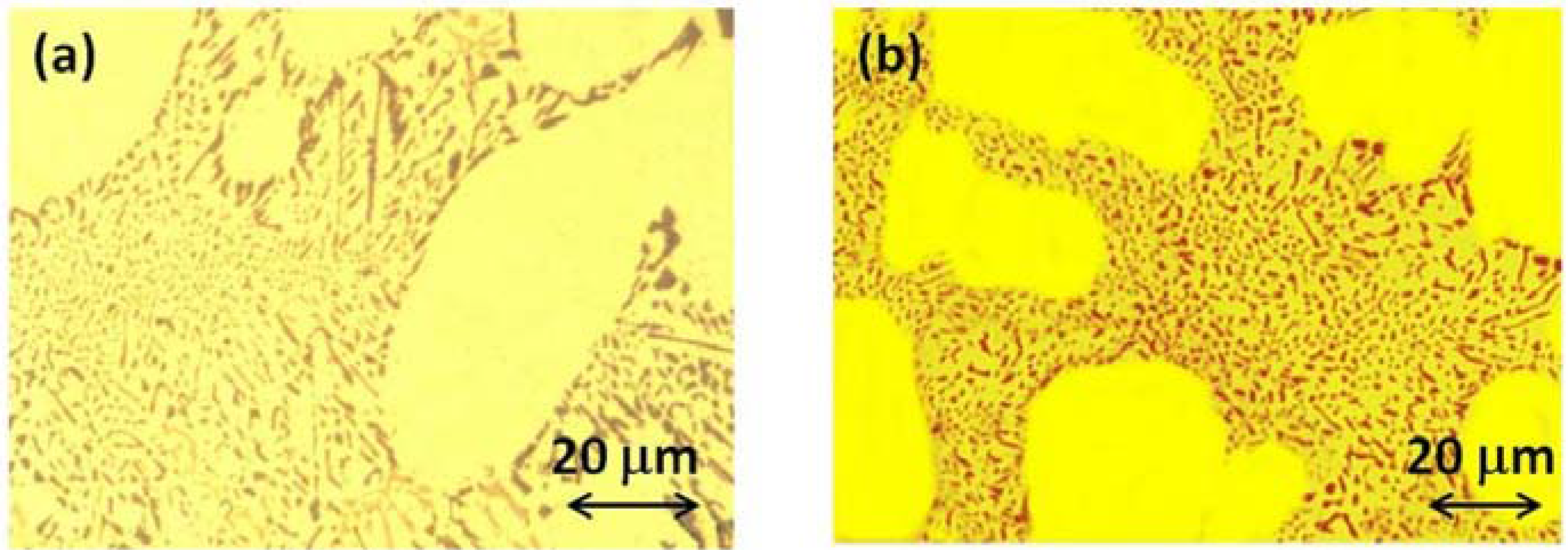 Metals 06 00043 g001 1024