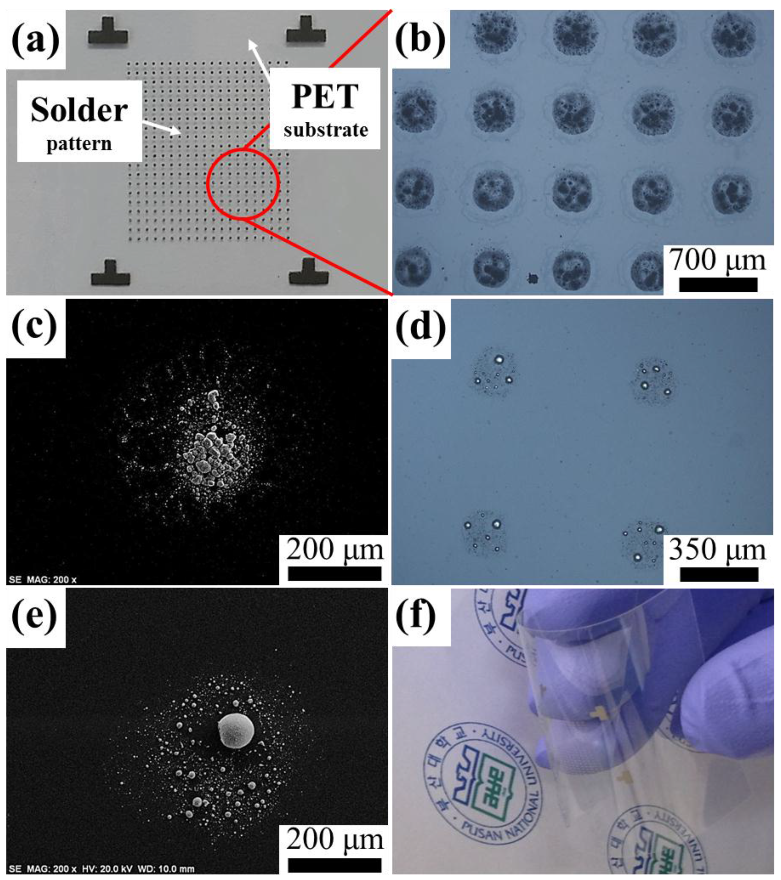 Metals 06 00074 g007 1024