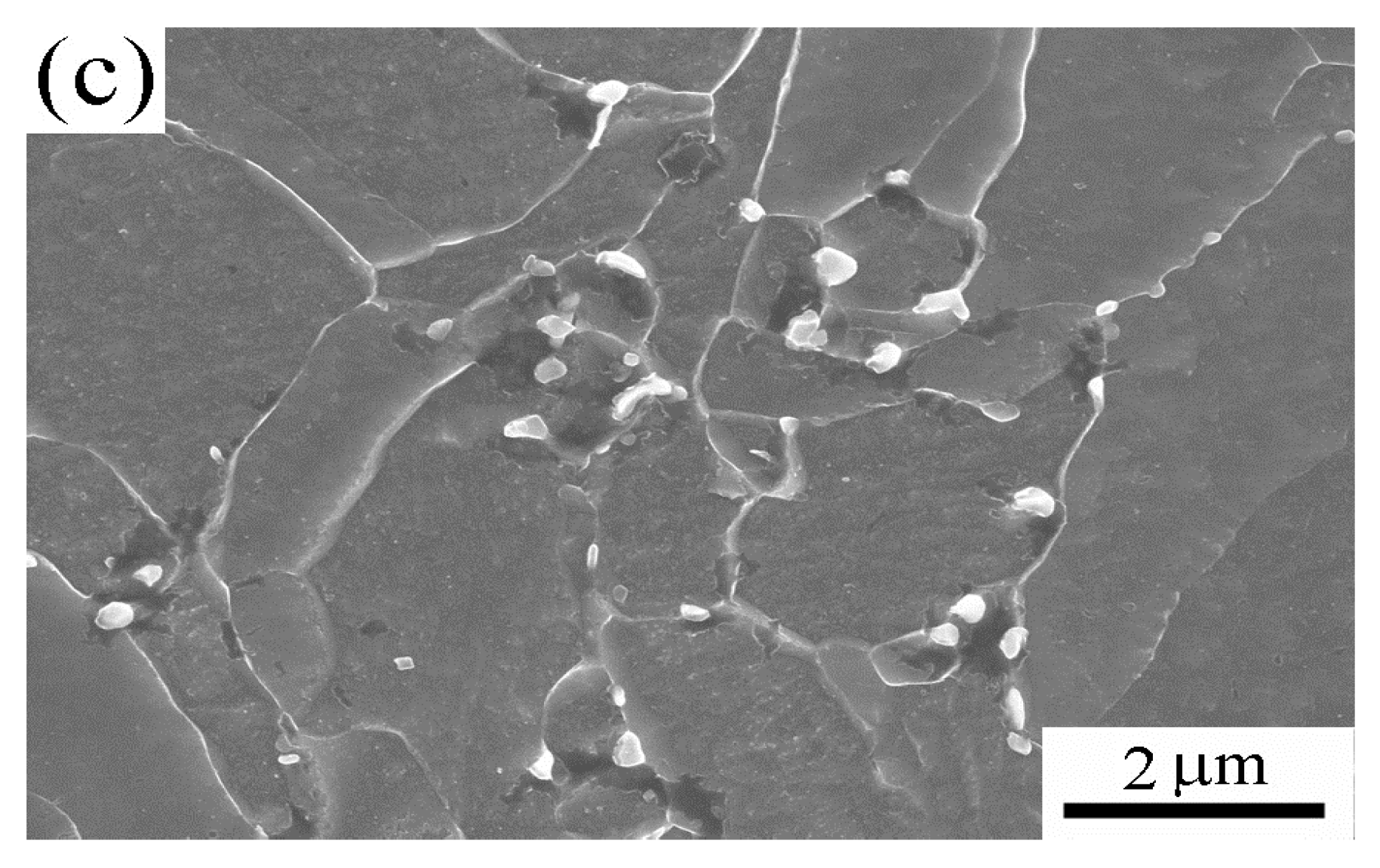 Metals 06 00075 g005b 1024