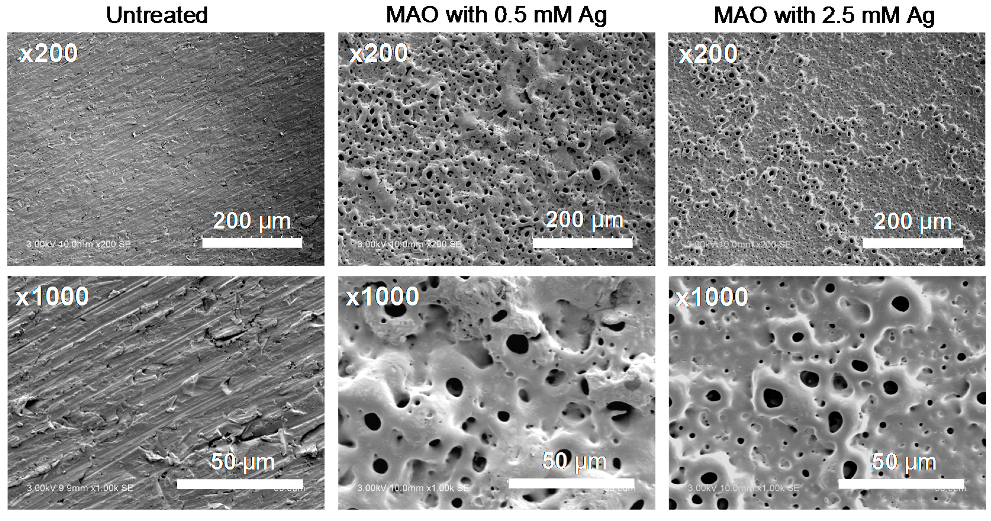 Metals 06 00076 g001