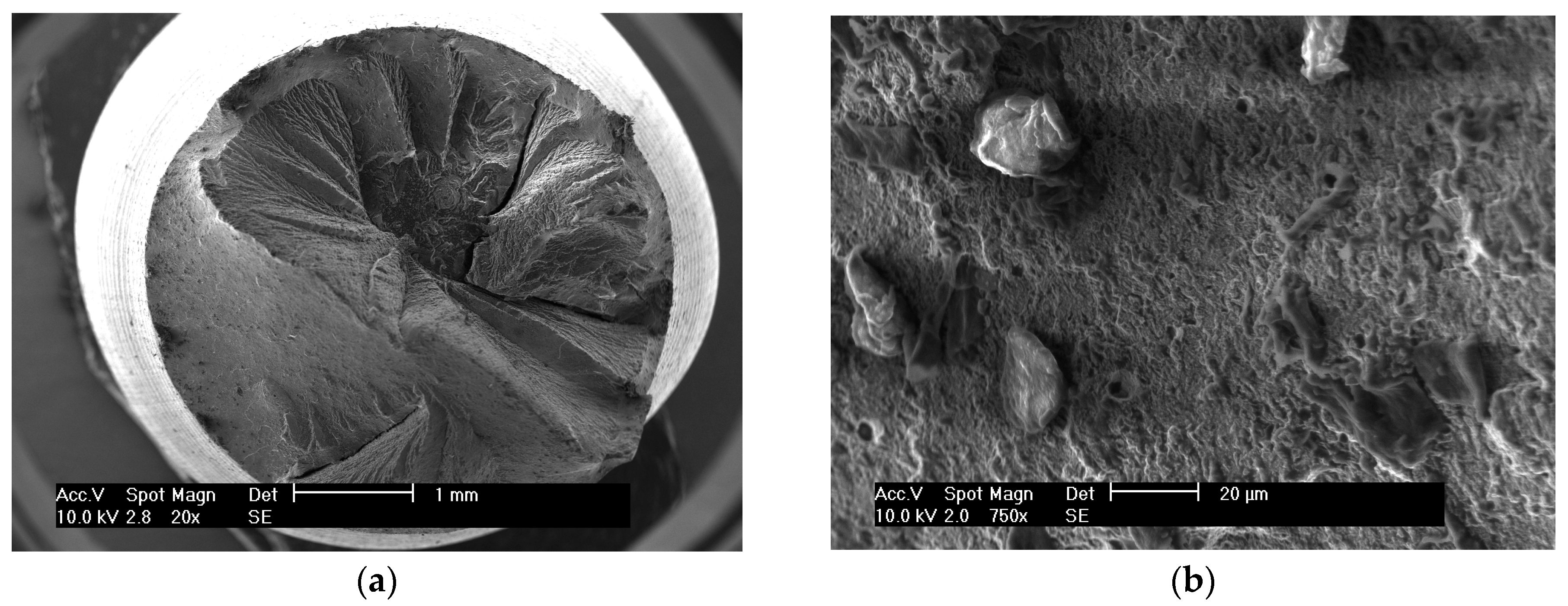 Metals 06 00098 g003 1024