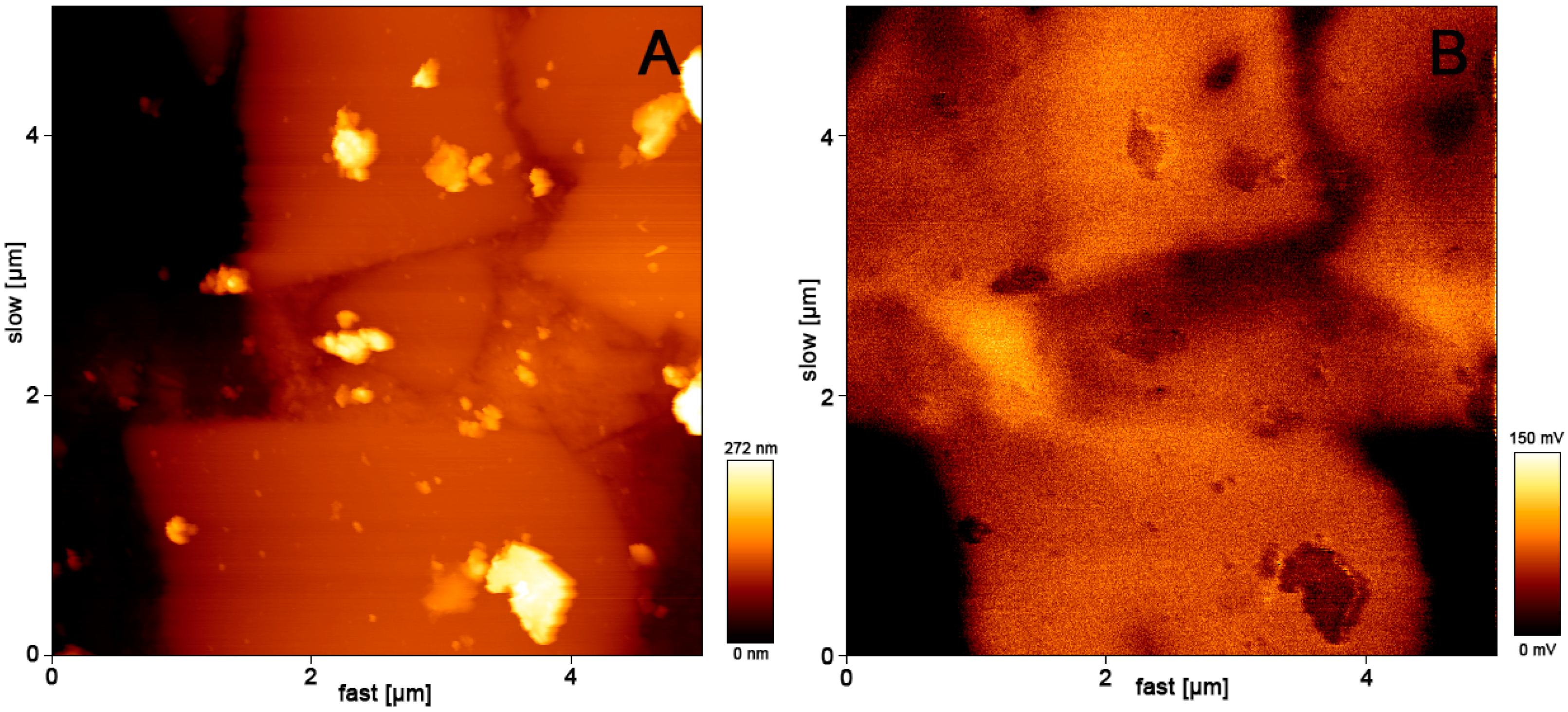 Metals 06 00106 g003