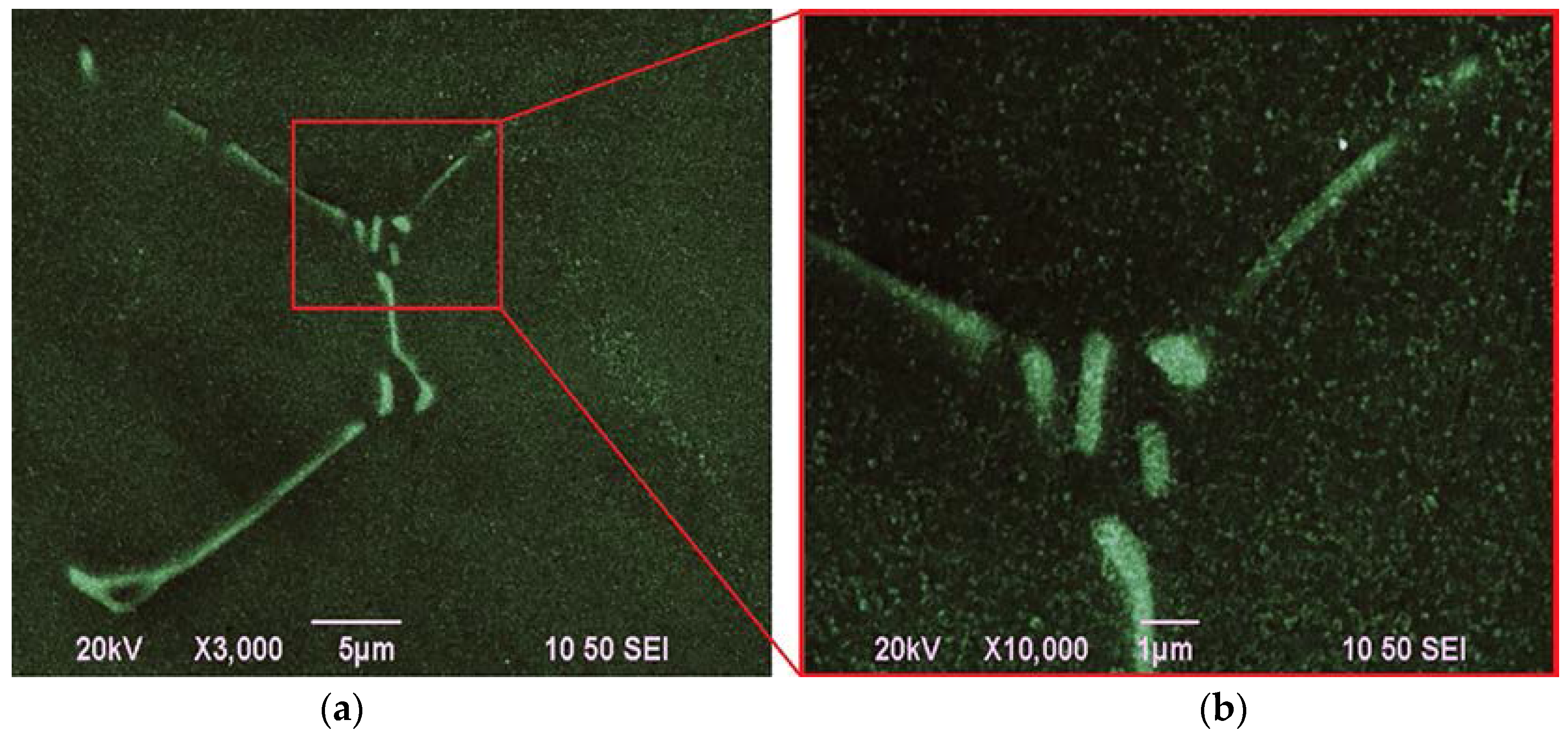 Metals 06 00121 g001a 1024