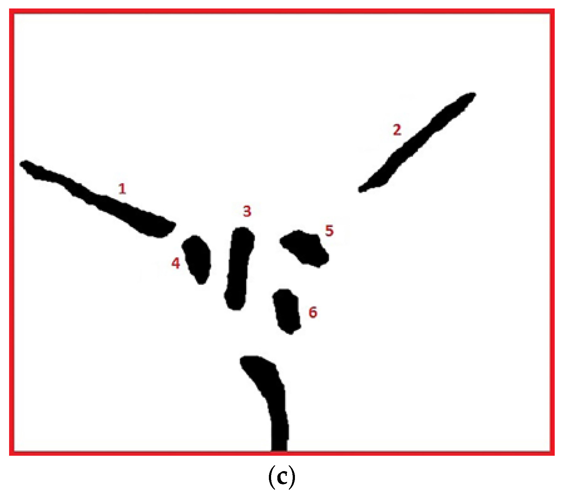 Metals 06 00121 g001b 1024