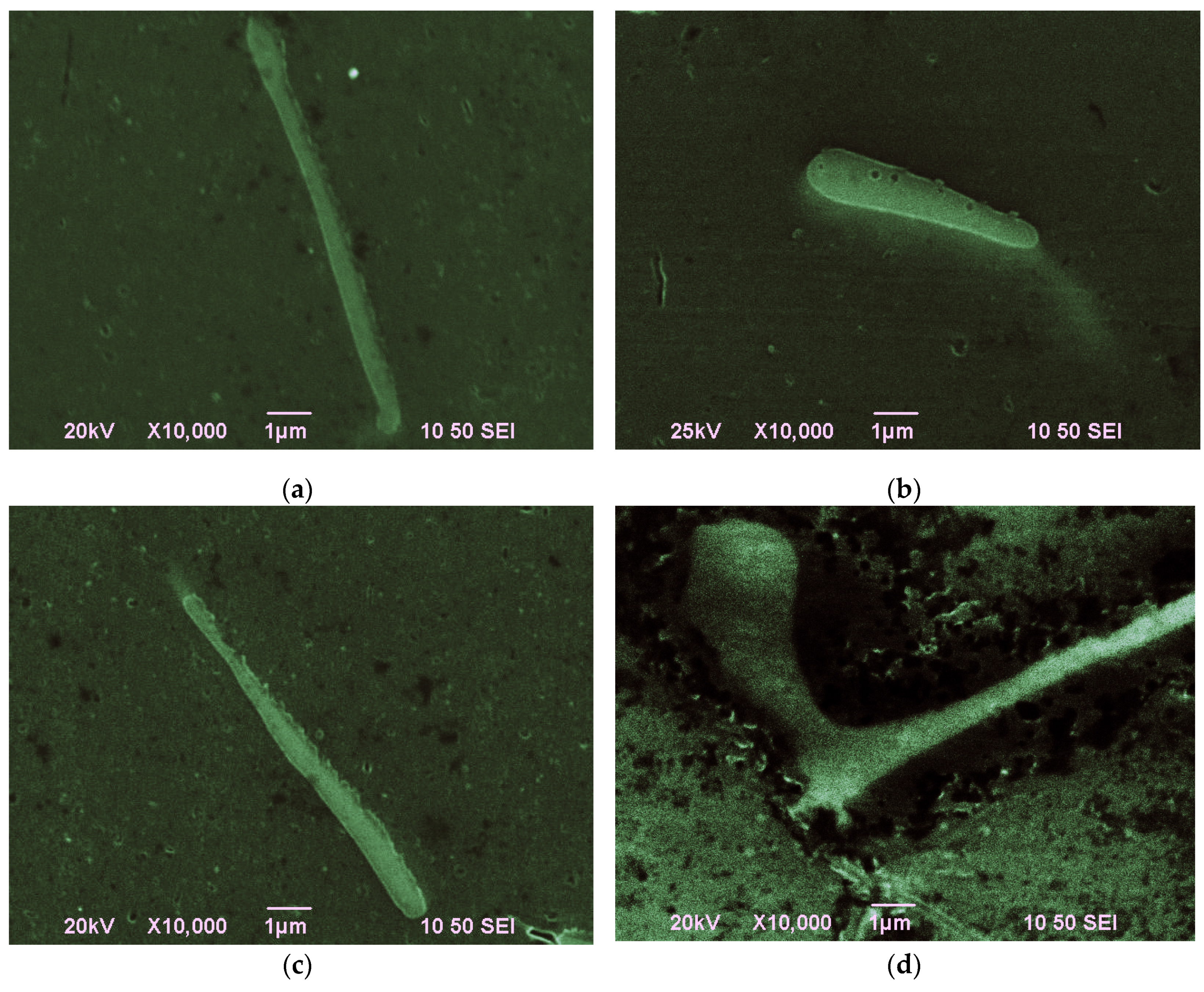 Metals 06 00121 g003 1024