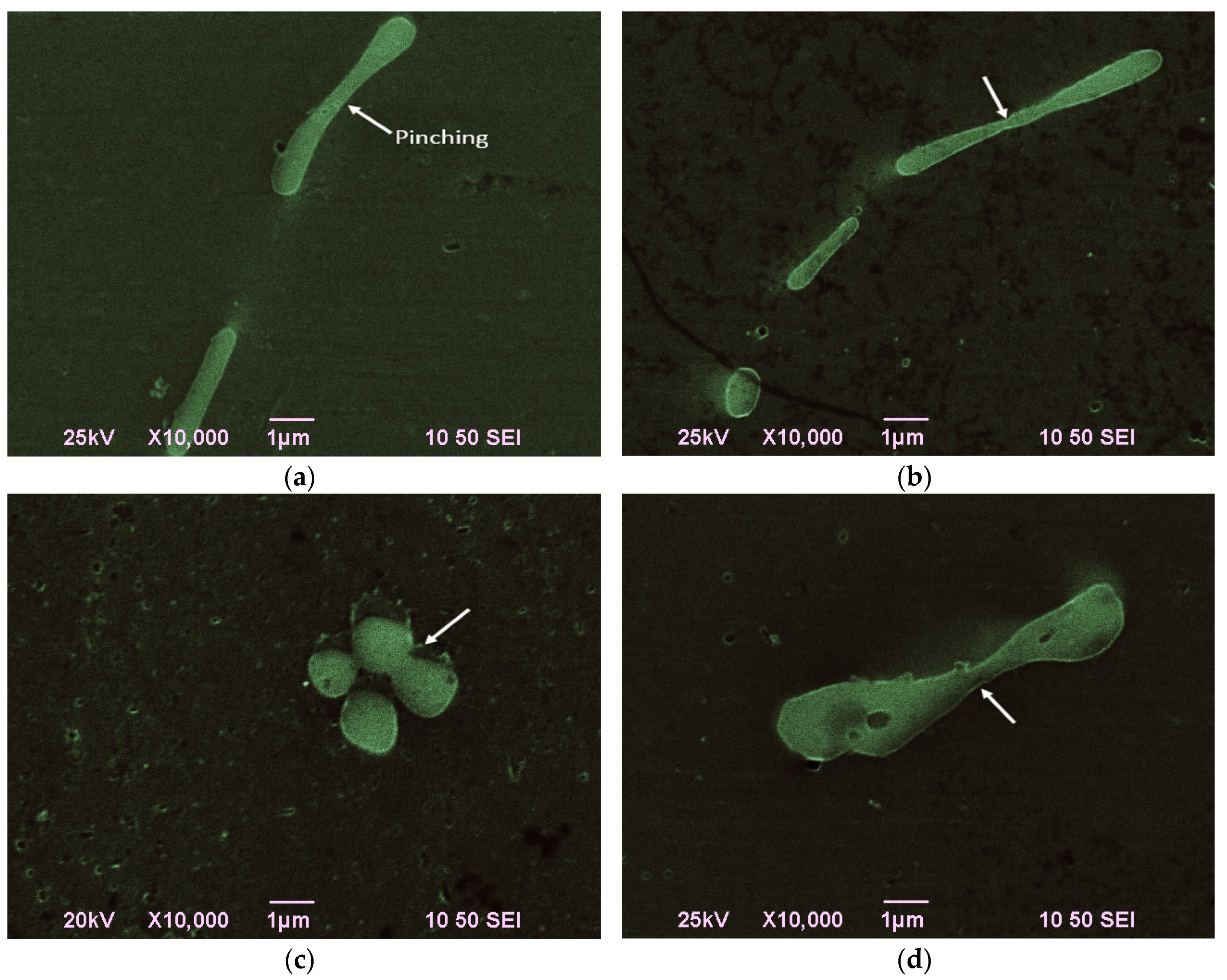 Metals 06 00121 g004 1024