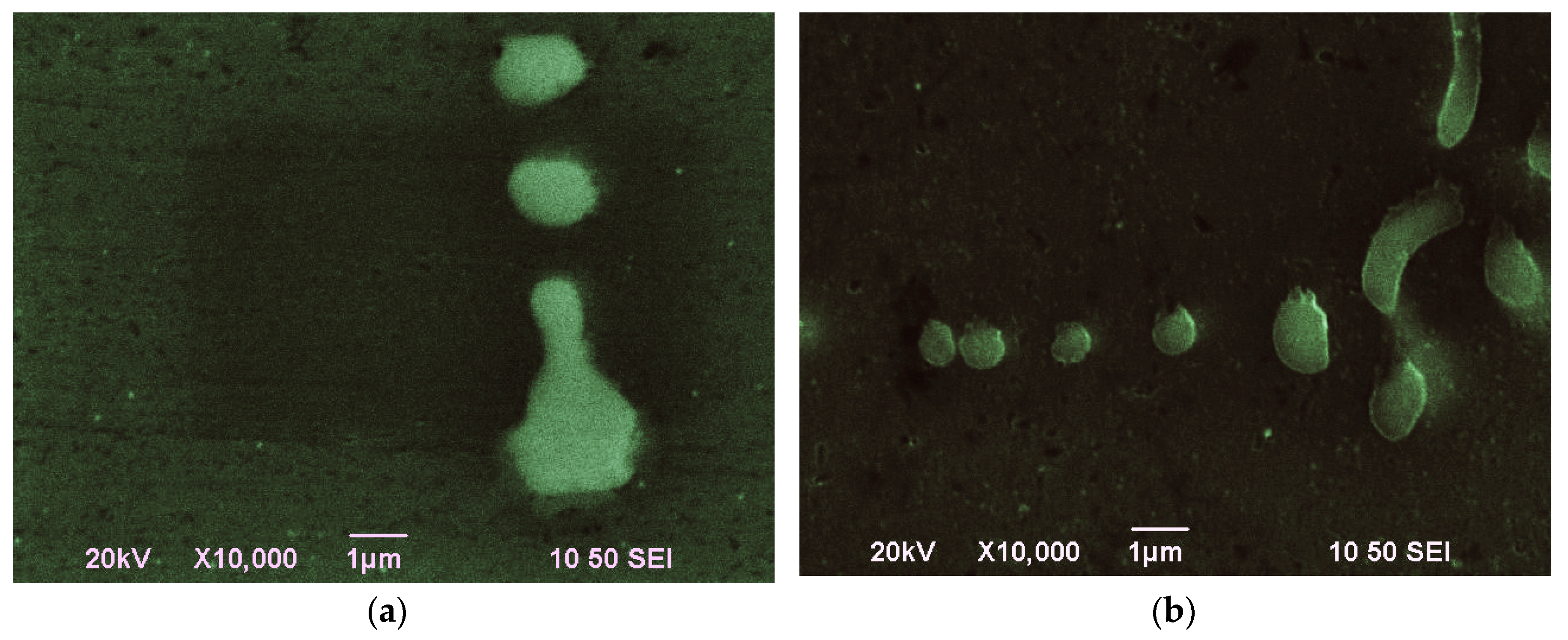 Metals 06 00121 g005a 1024