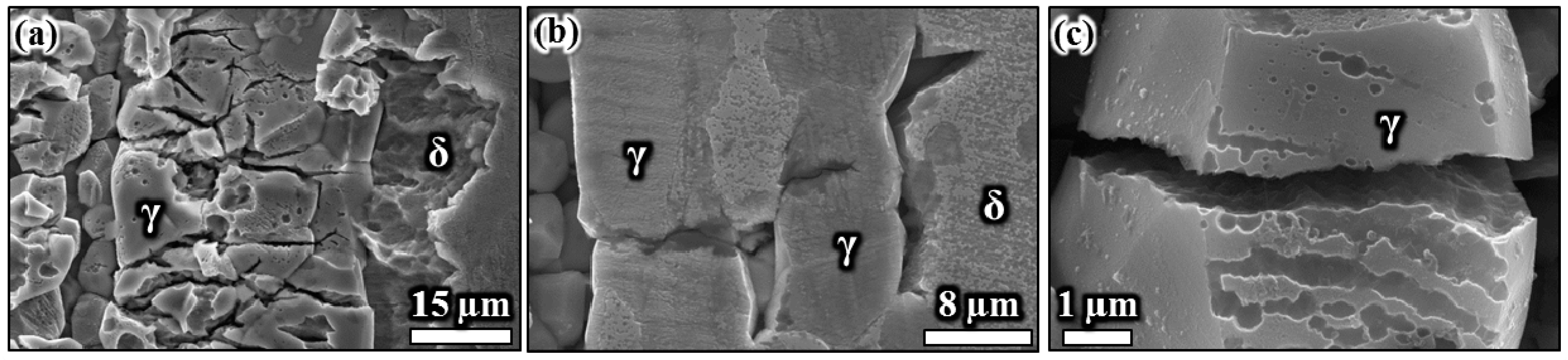 Metals 06 00167 g011 1024