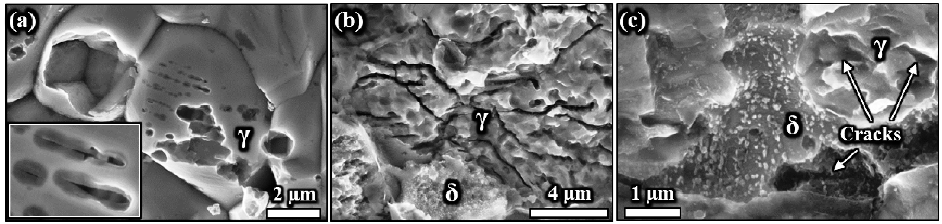 Metals 06 00167 g018 1024