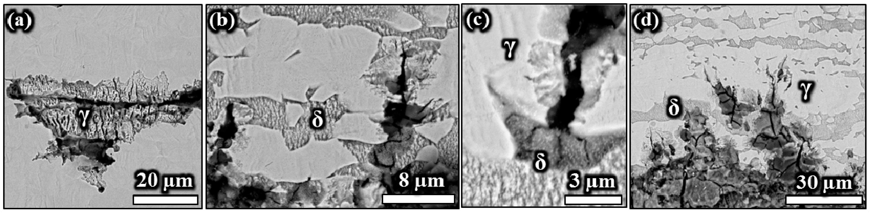 Metals 06 00167 g019 1024