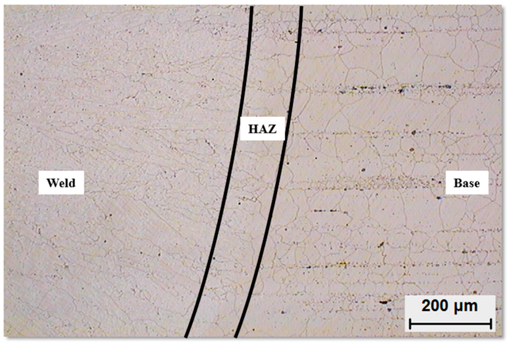 Metals 06 00178 g001 1024