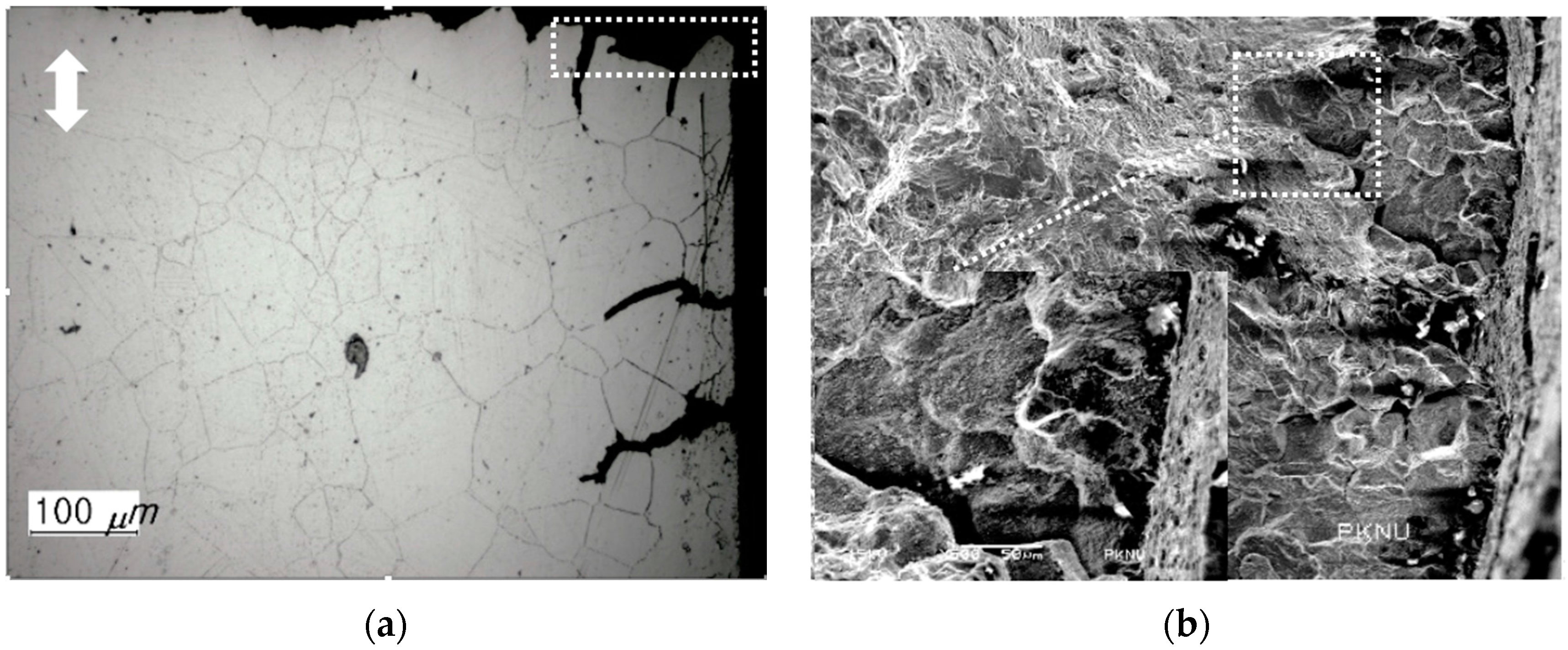 Metals 06 00178 g014 1024