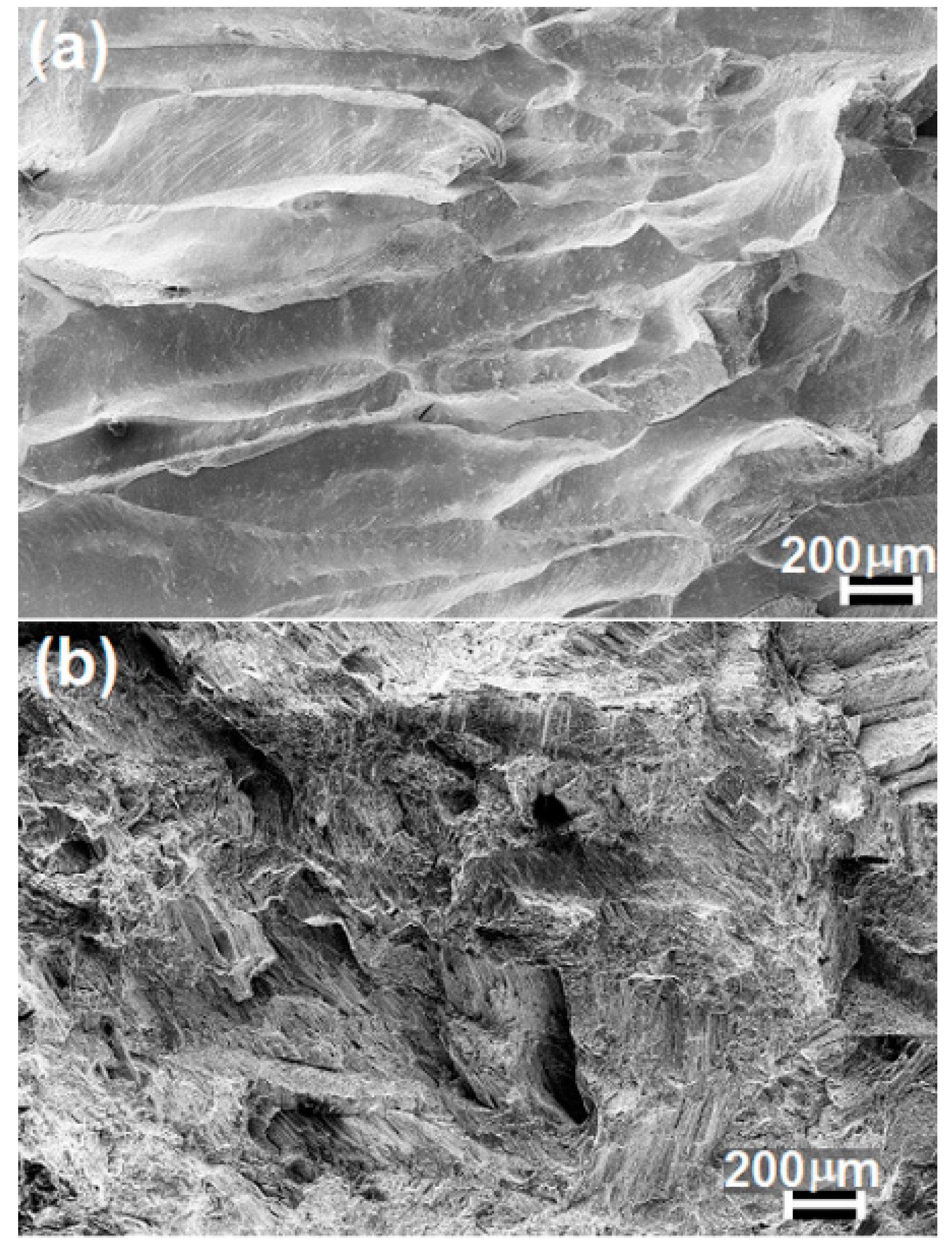 Metals 06 00188 g010