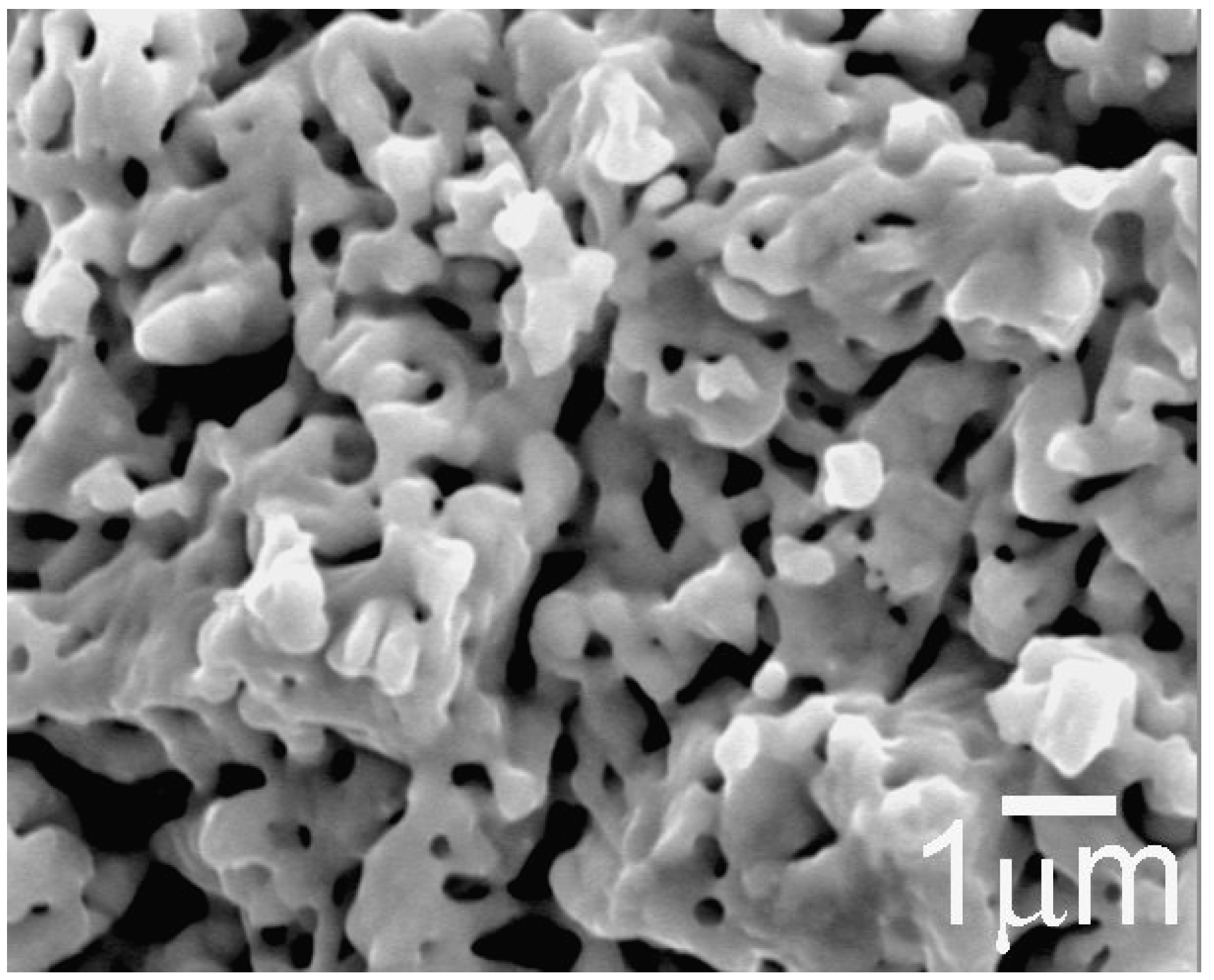 Metals 06 00190 g005 1024