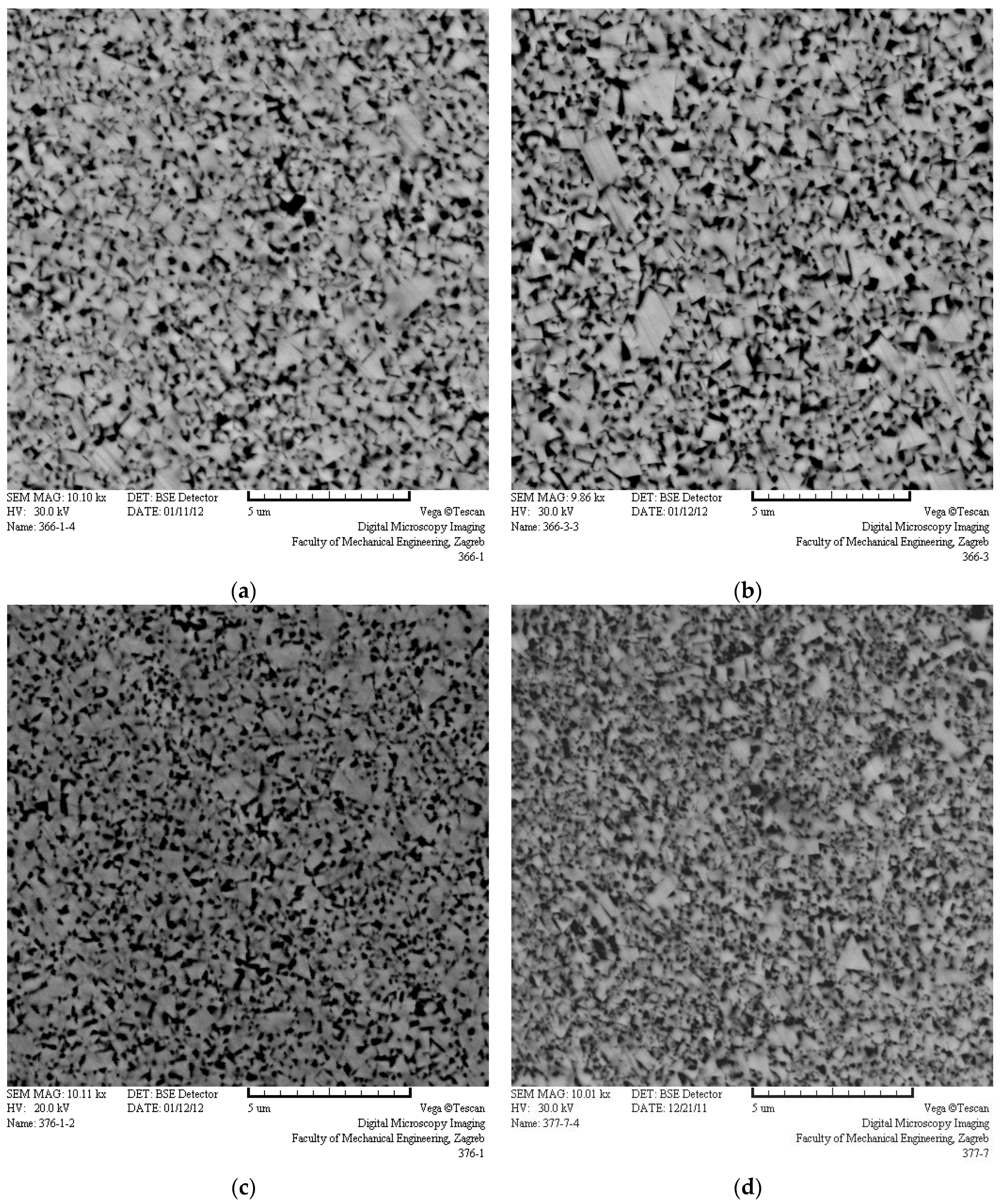 Metals 06 00198 g003 1024