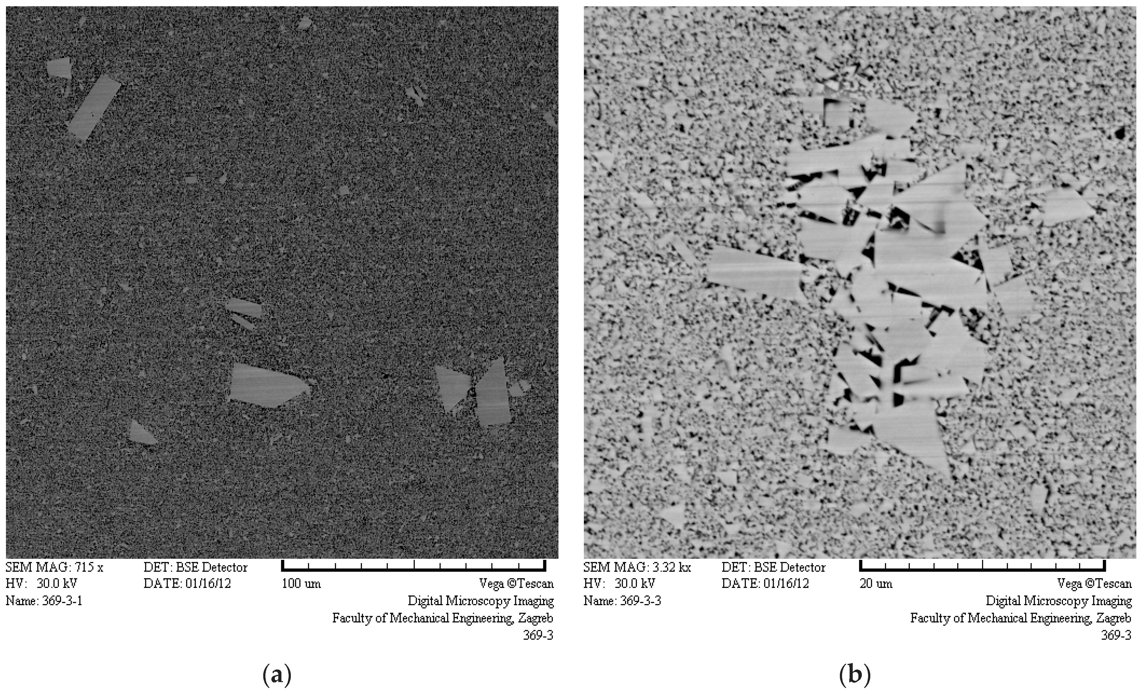 Metals 06 00198 g004 1024