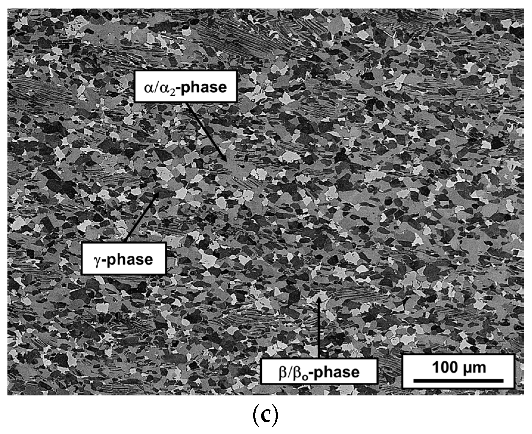 Metals 06 00204 g009b