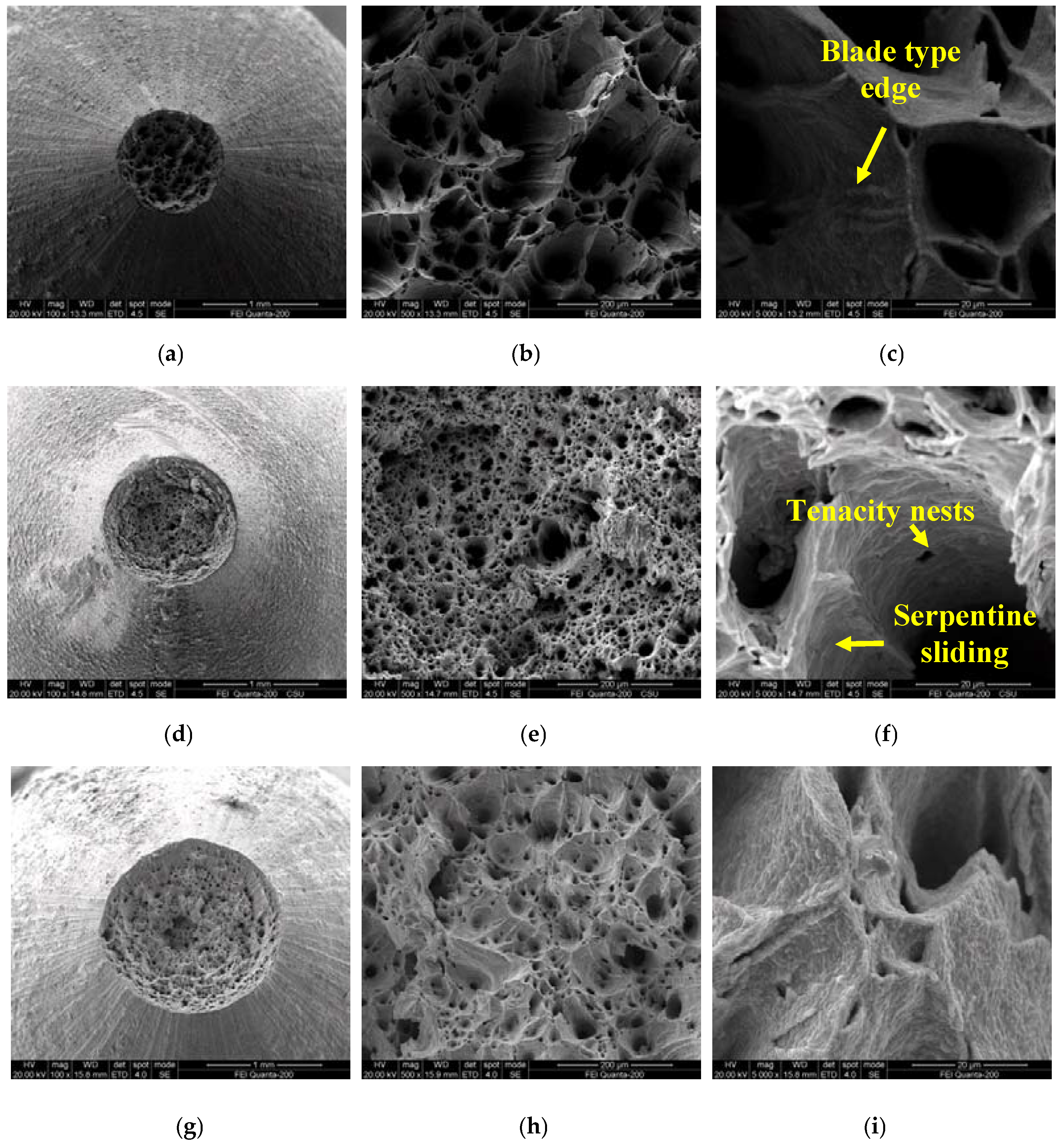 Metals 06 00210 g005 1024