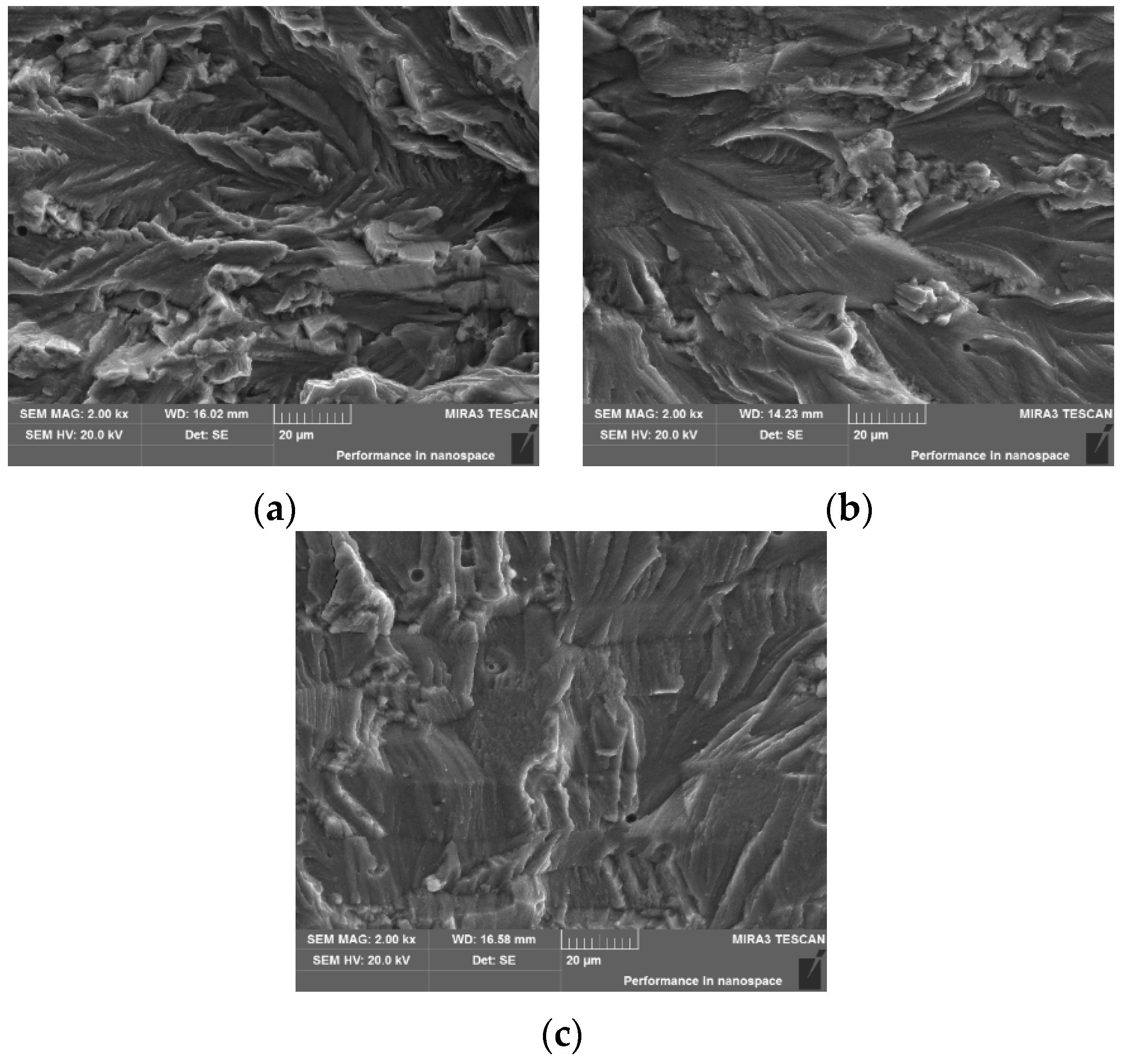 Metals 06 00215 g003 1024